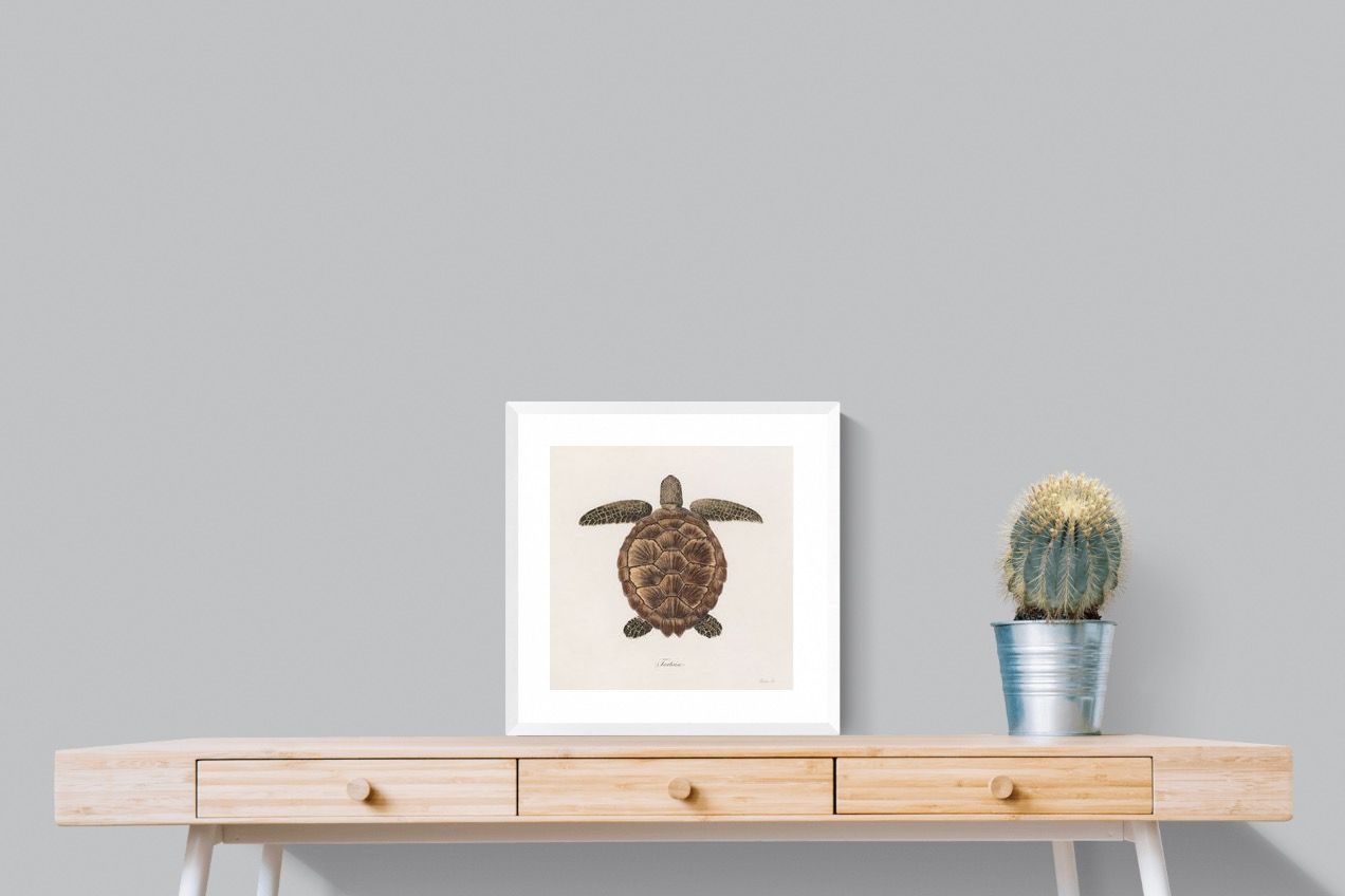Pixalot Vintage Tortoise