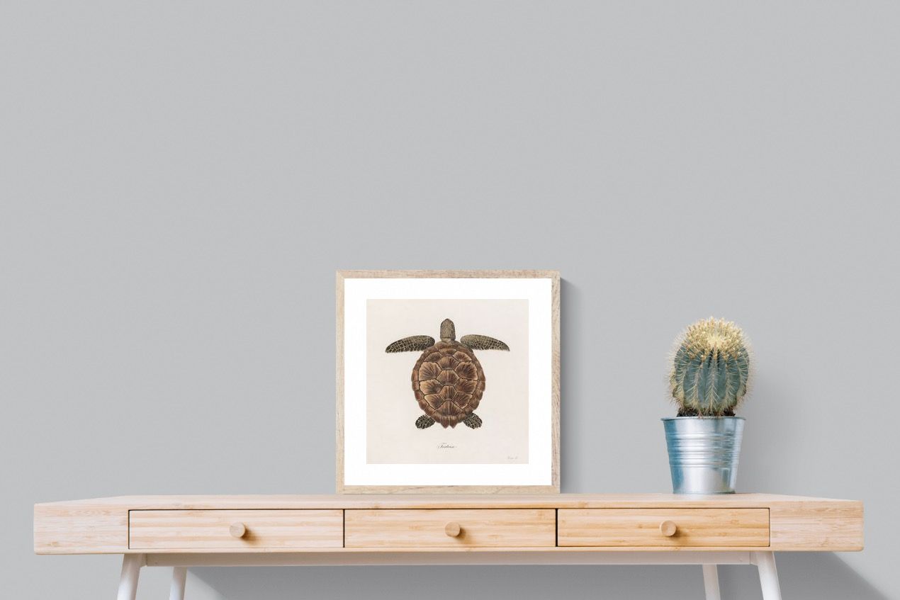 Pixalot Vintage Tortoise