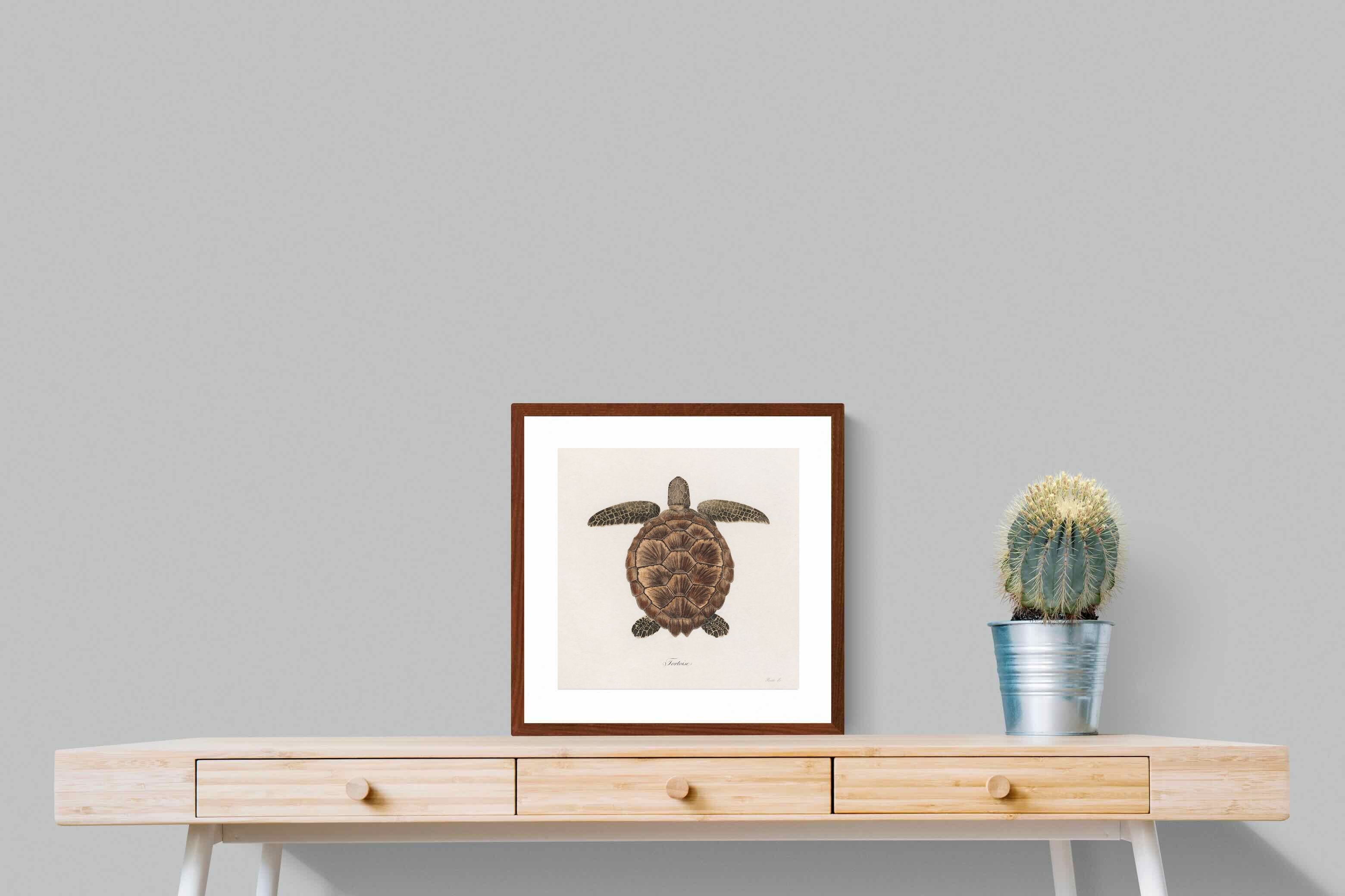Pixalot Vintage Tortoise