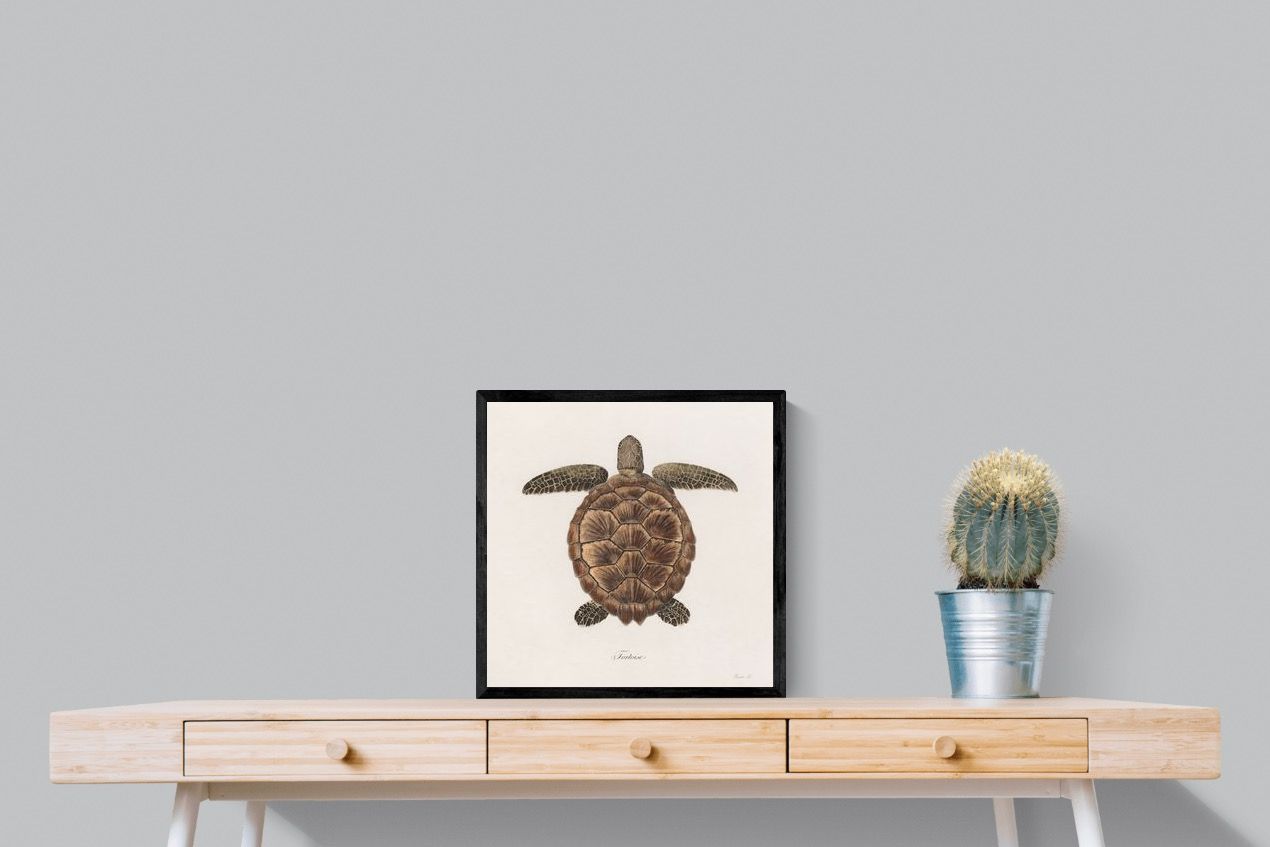 Pixalot Vintage Tortoise