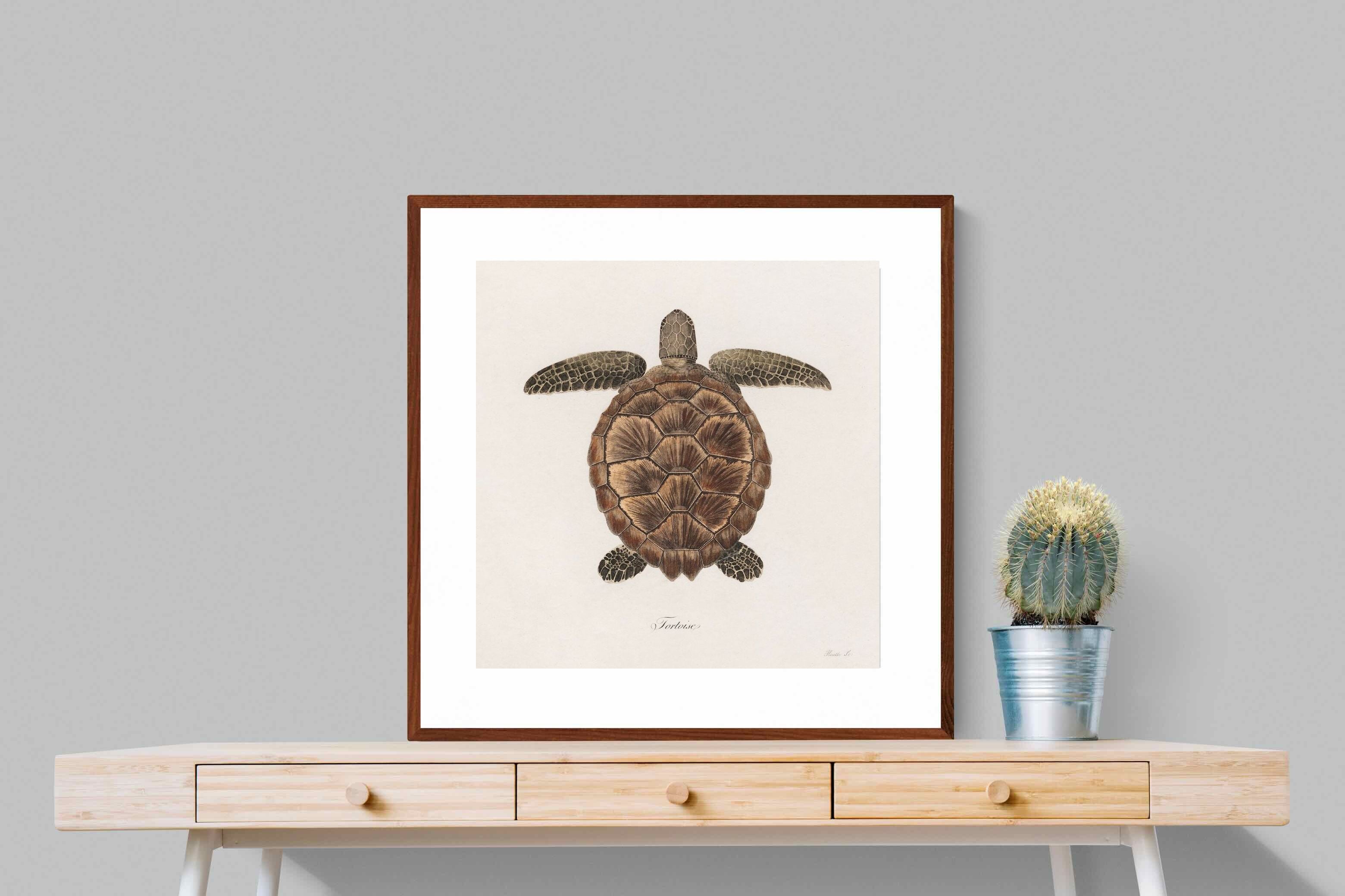 Pixalot Vintage Tortoise