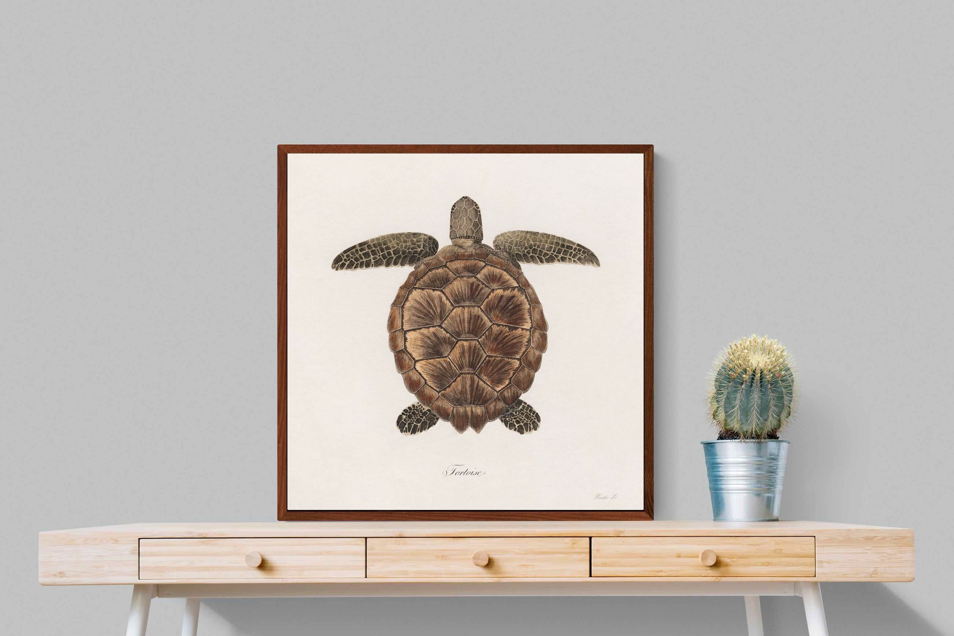 Pixalot Vintage Tortoise