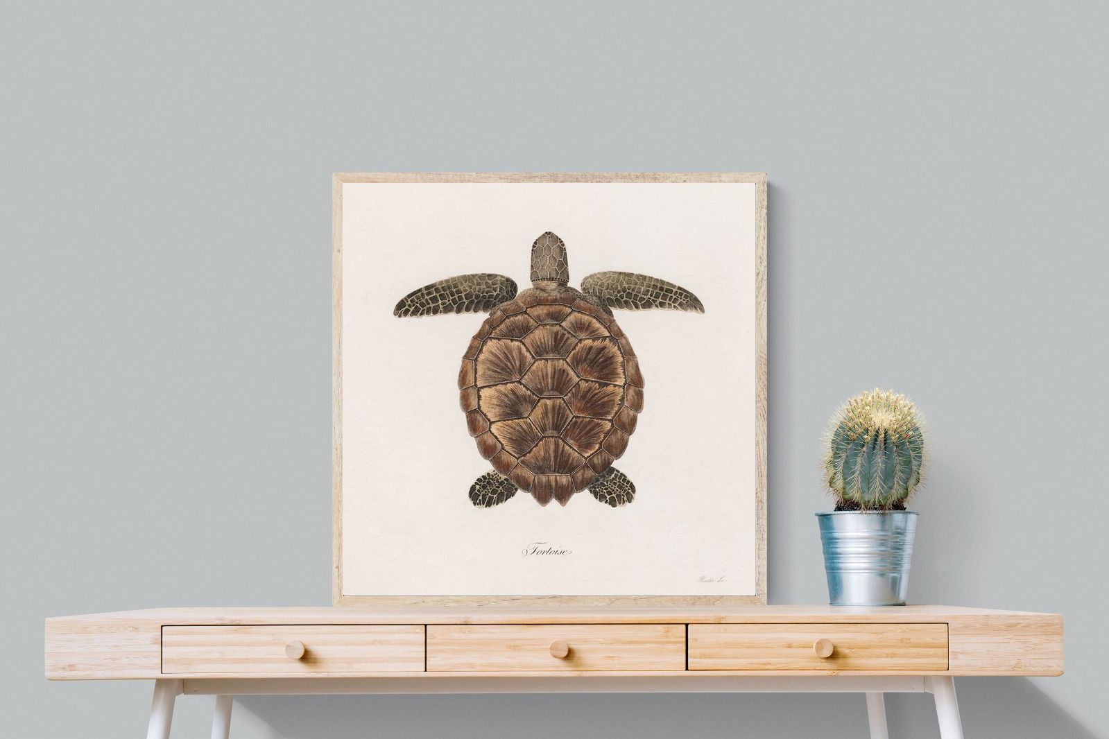 Pixalot Vintage Tortoise