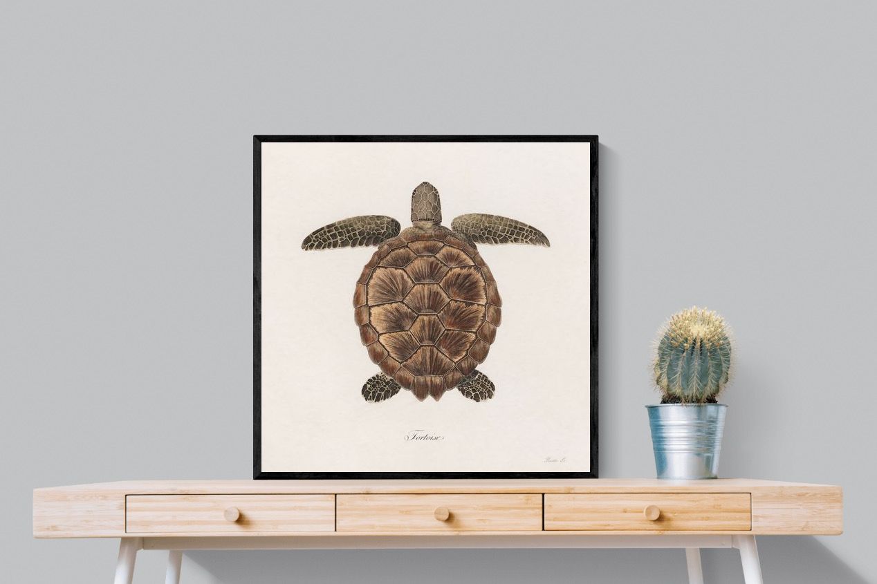 Pixalot Vintage Tortoise