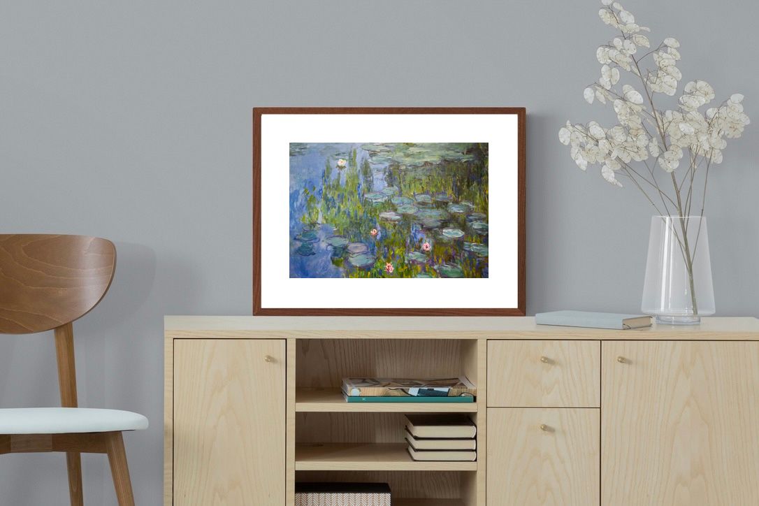 Pixalot Water Lilies (Nymphéas)