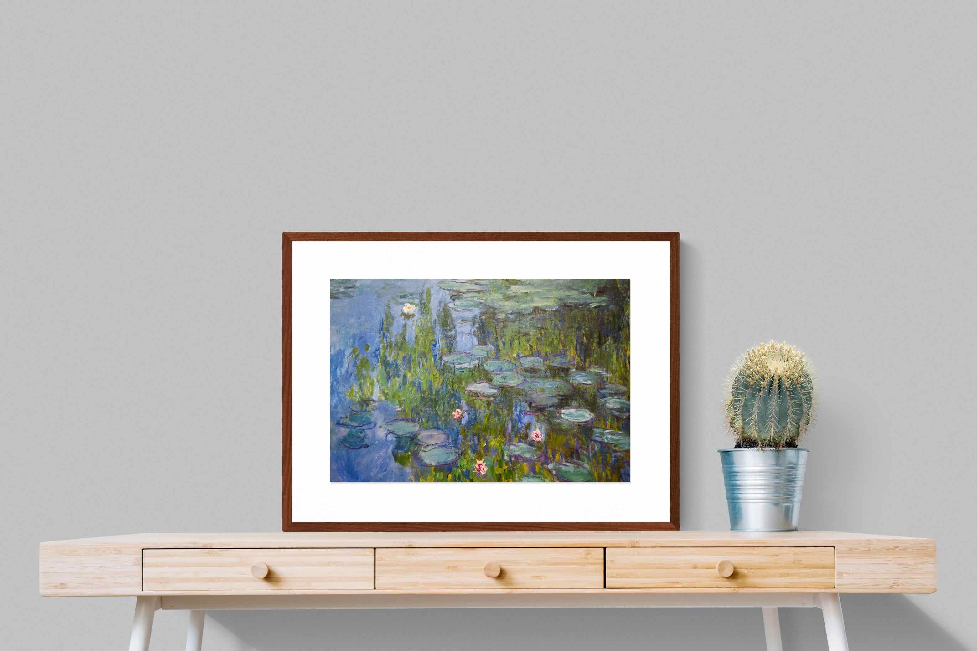 Pixalot Water Lilies (Nymphéas)