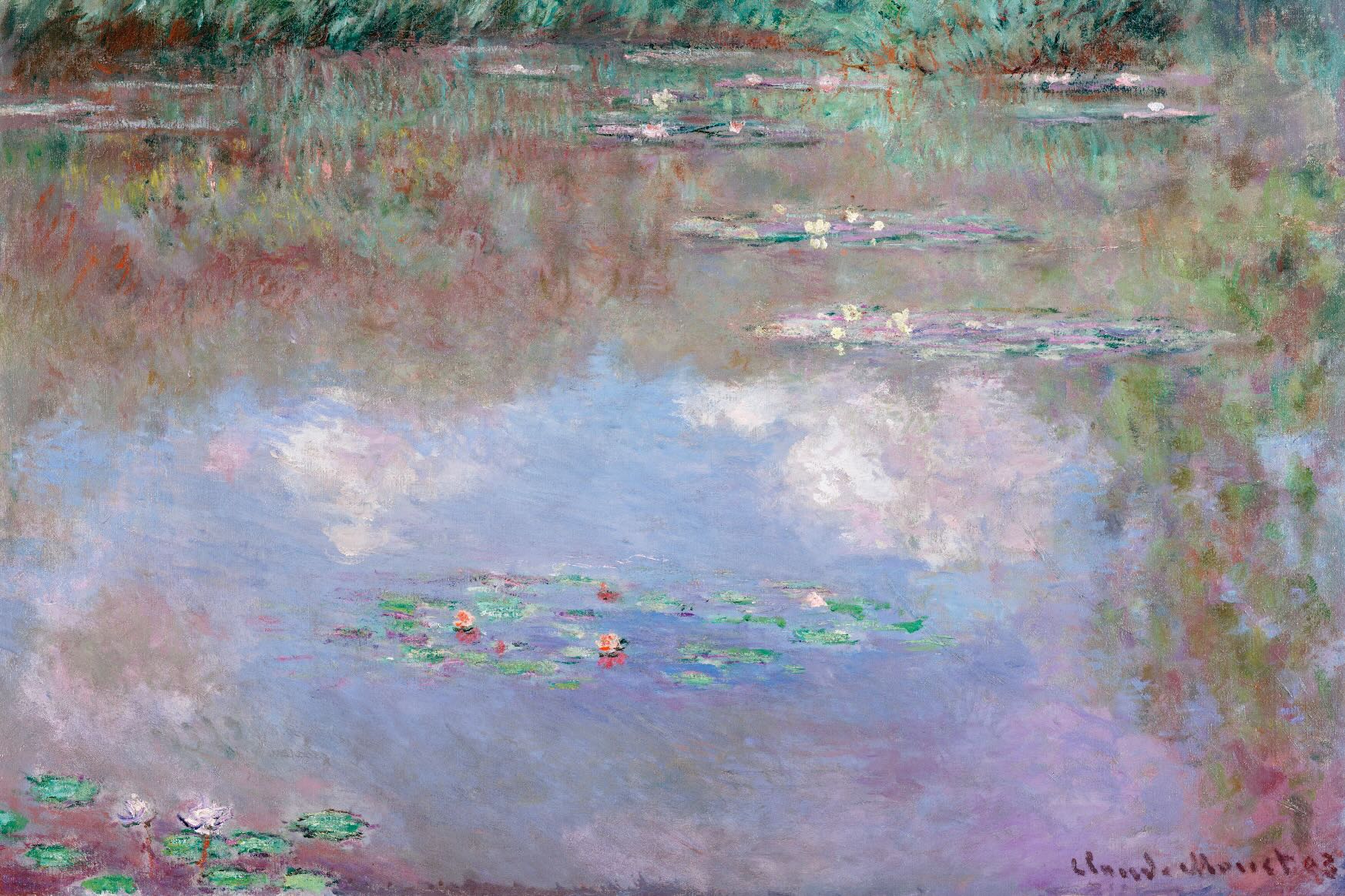 Water Lily Pond with Clouds