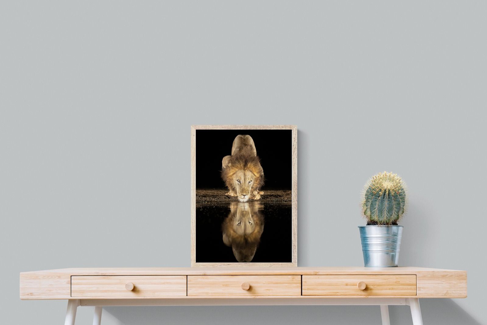 Pixalot Waterhole King