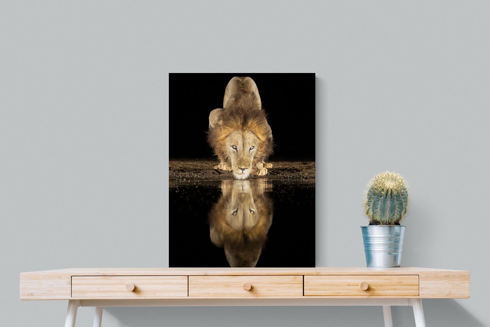 Pixalot Waterhole King