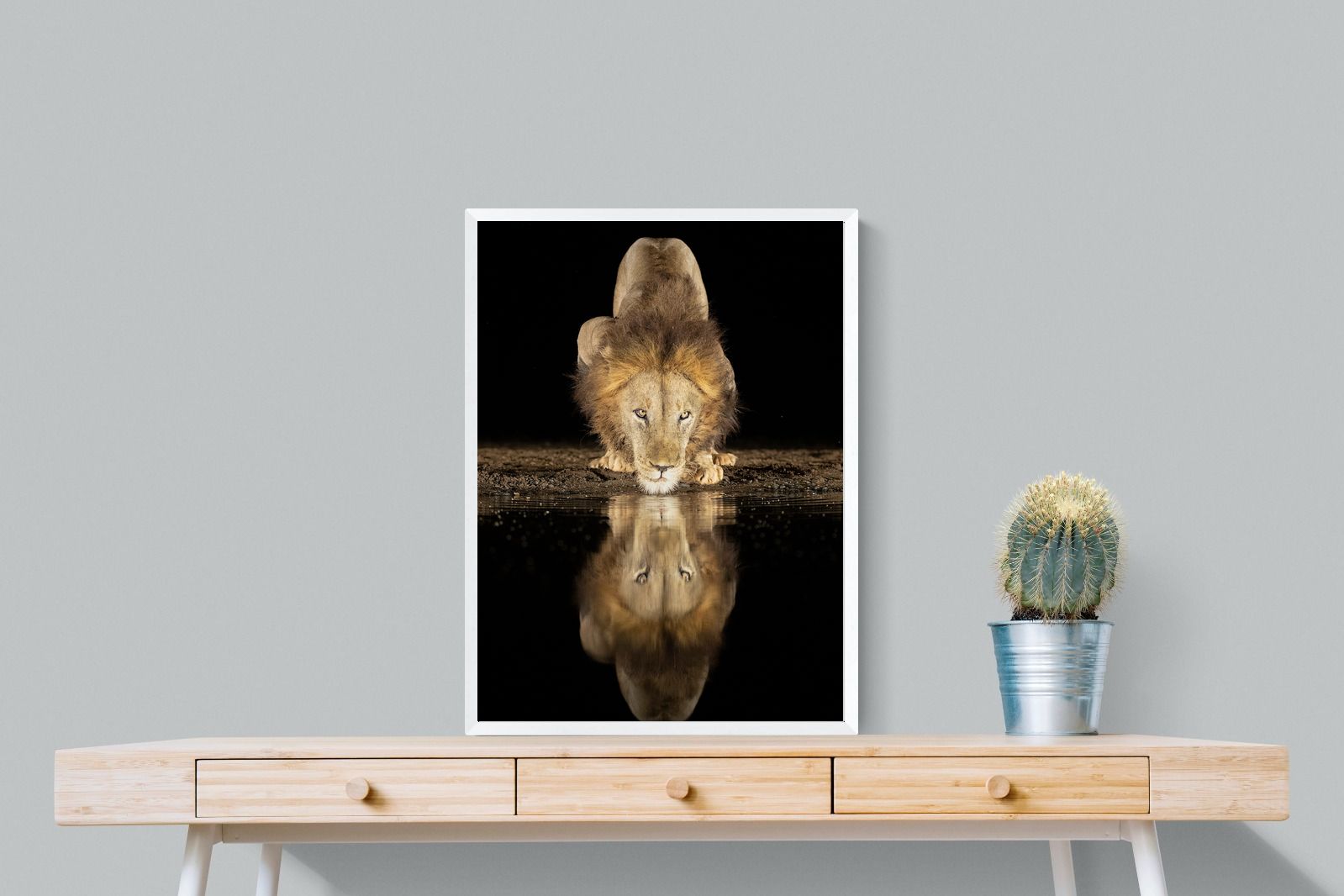 Pixalot Waterhole King