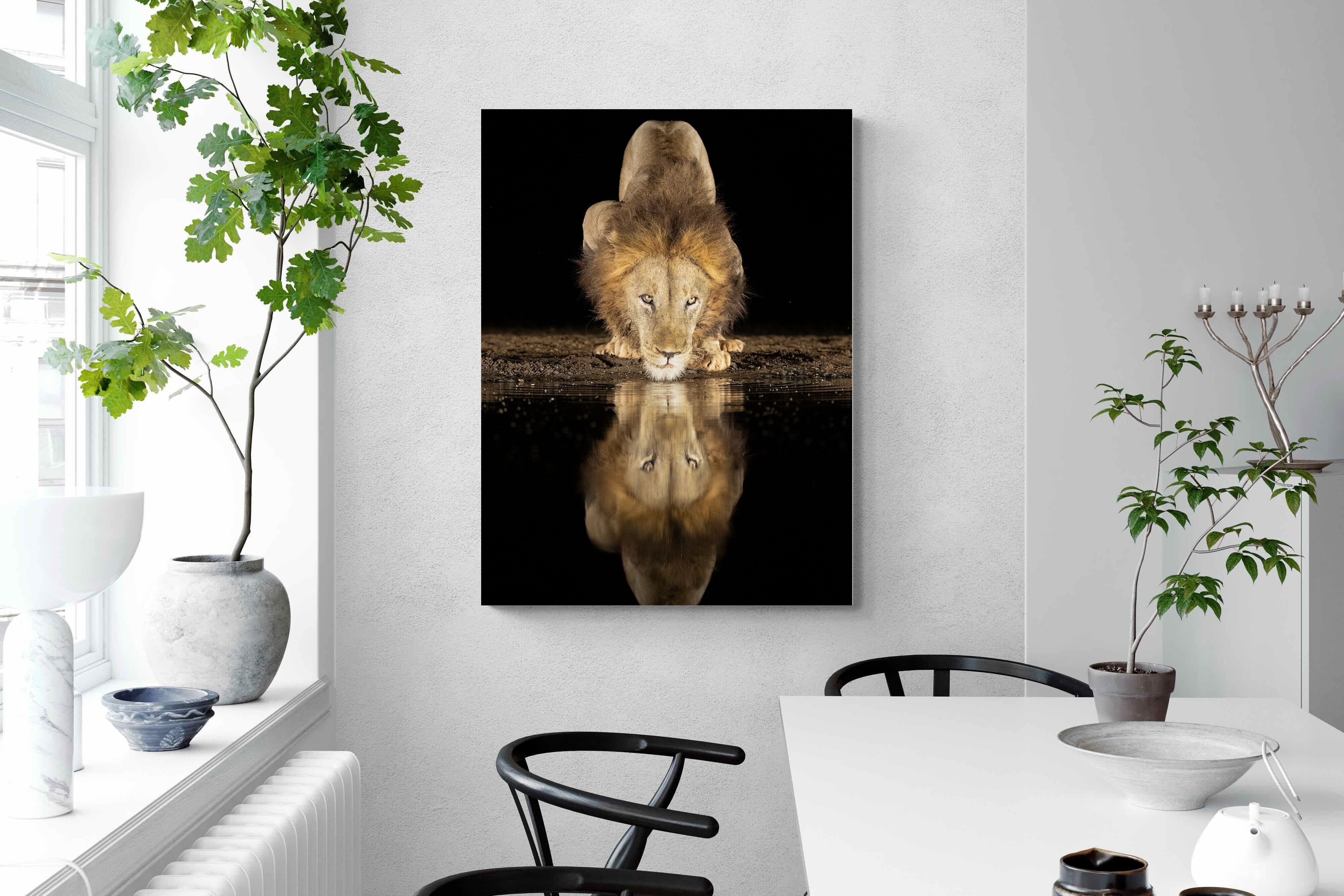 Pixalot Waterhole King