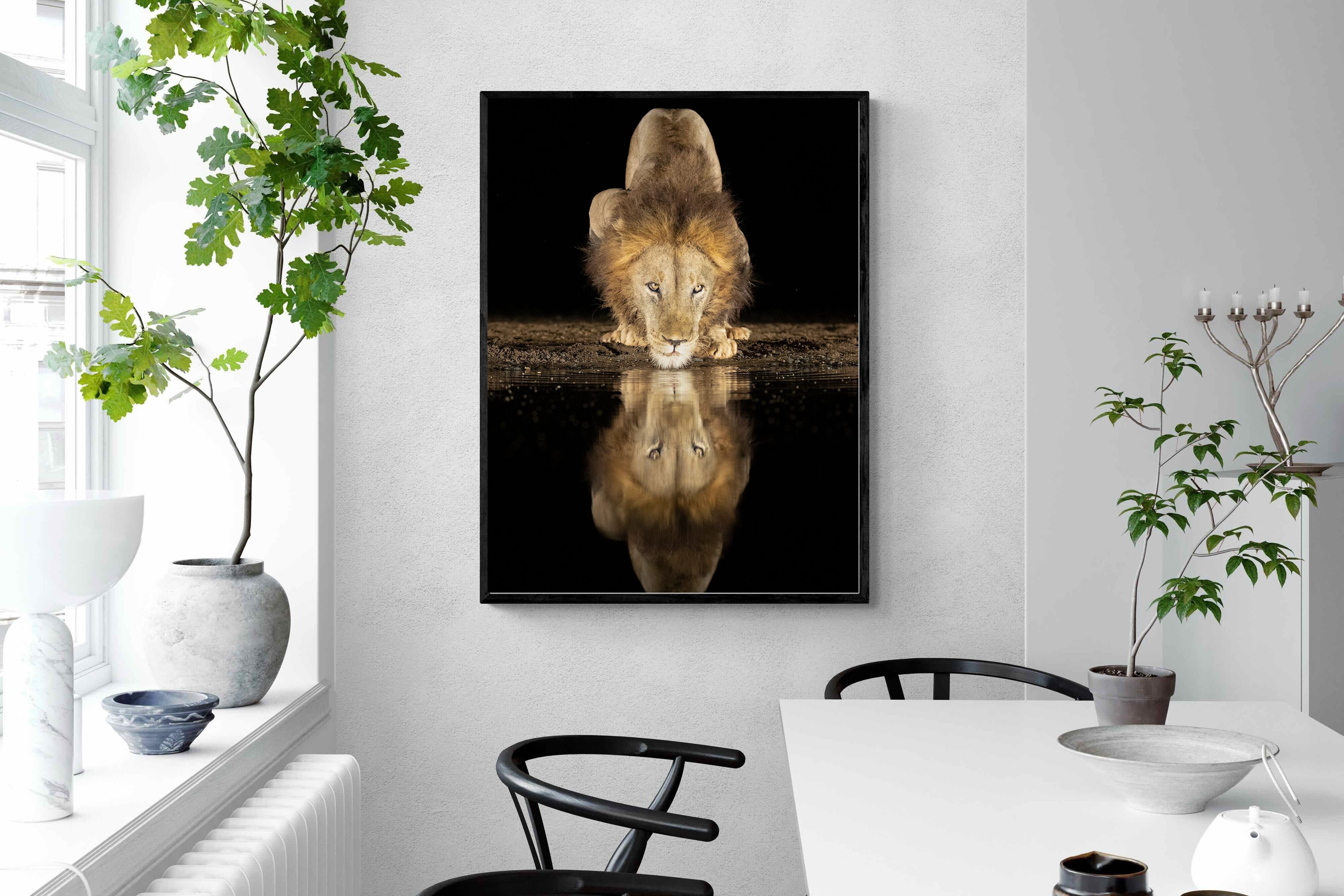 Pixalot Waterhole King