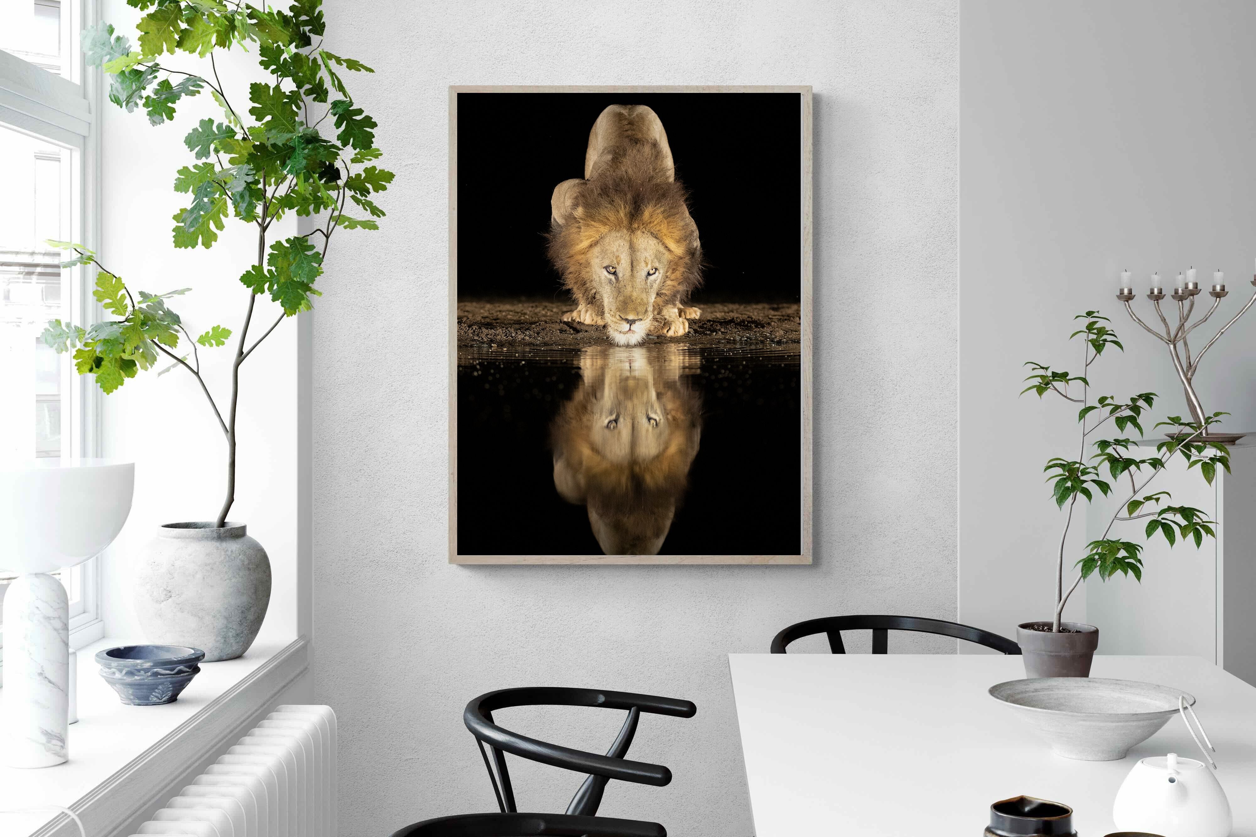 Pixalot Waterhole King