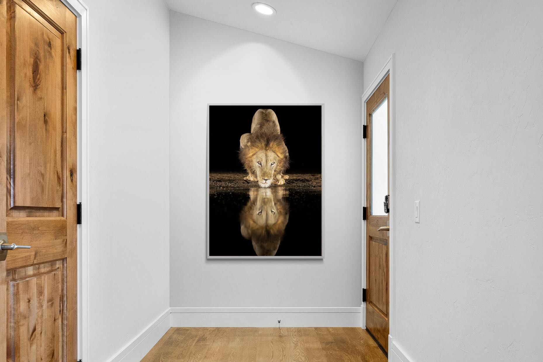 Pixalot Waterhole King