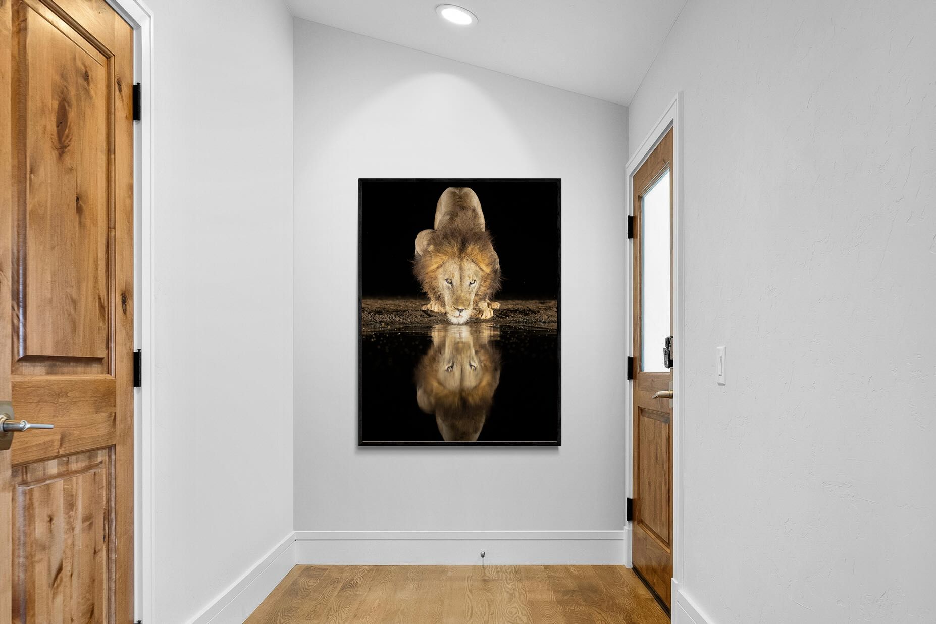 Pixalot Waterhole King