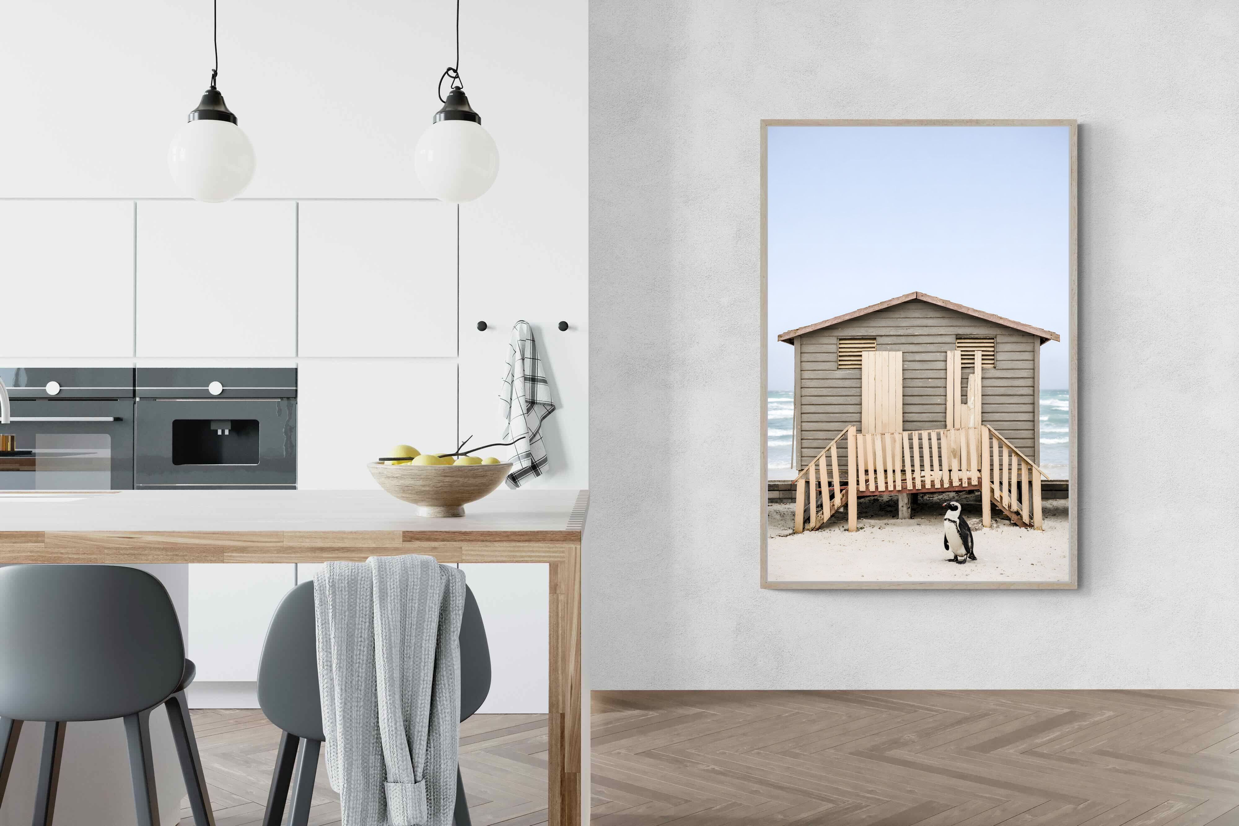 Pixalot Weathered Beach Hut