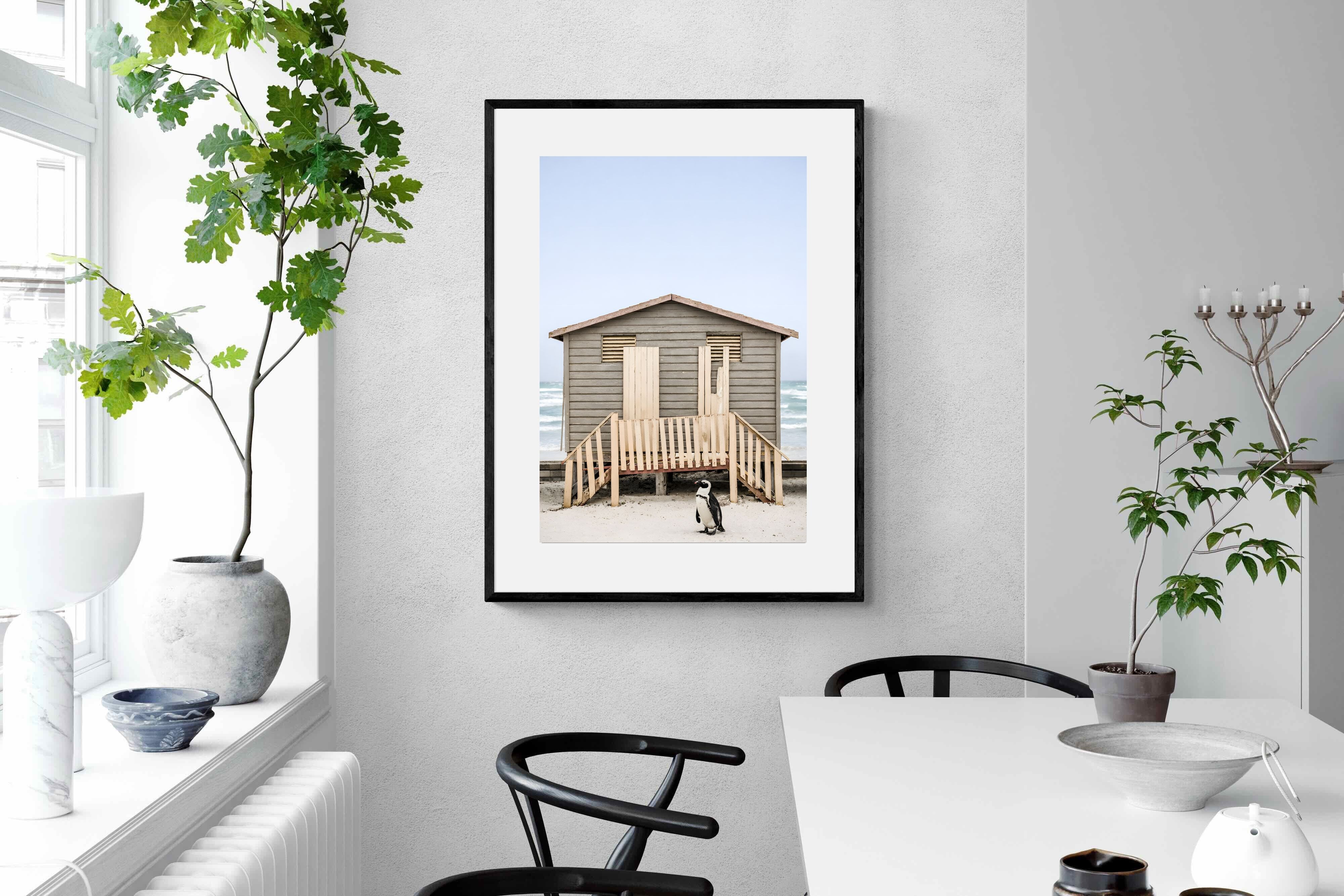 Pixalot Weathered Beach Hut