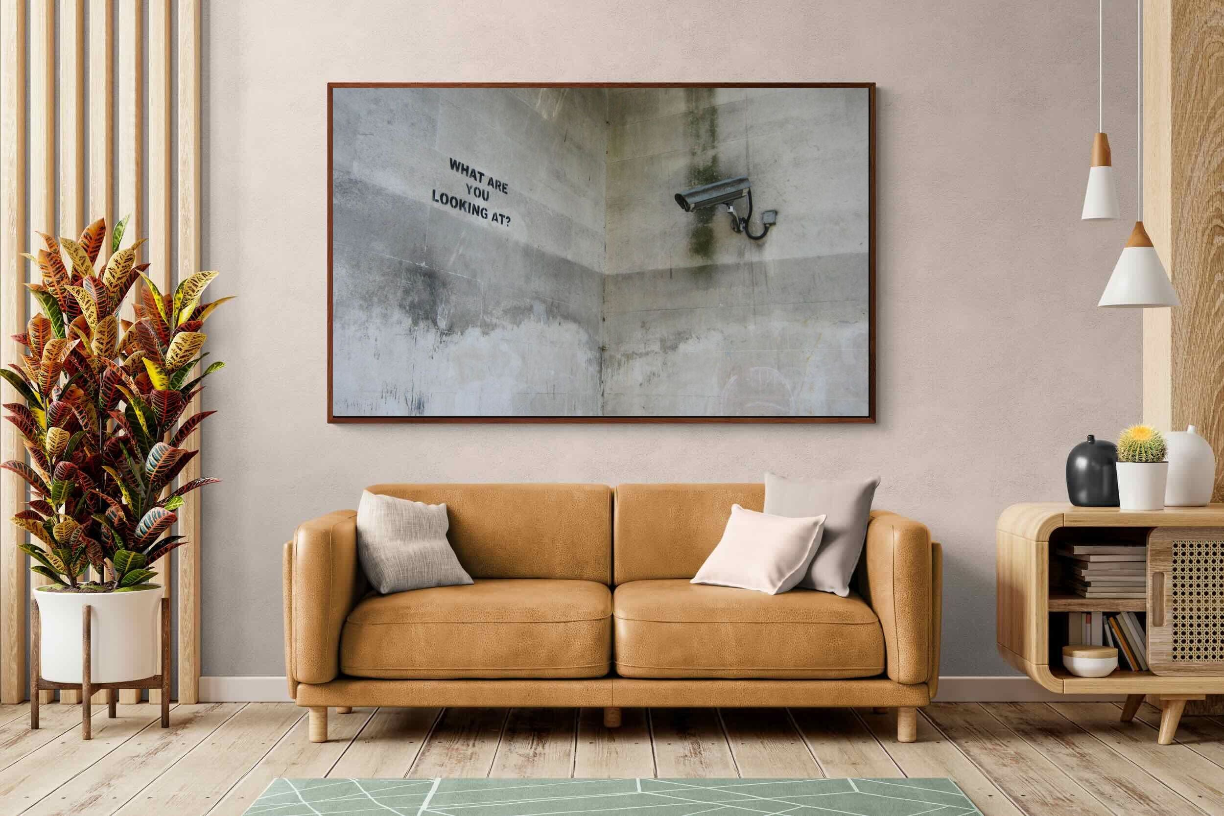 Pixalot What Are You Looking At