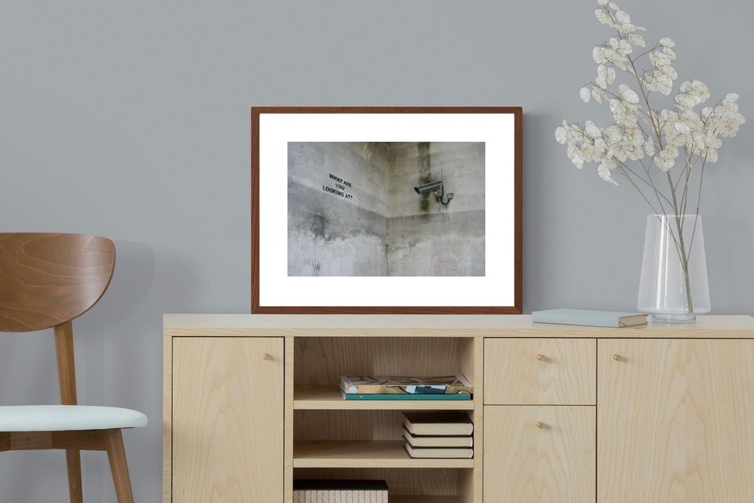 Pixalot What Are You Looking At