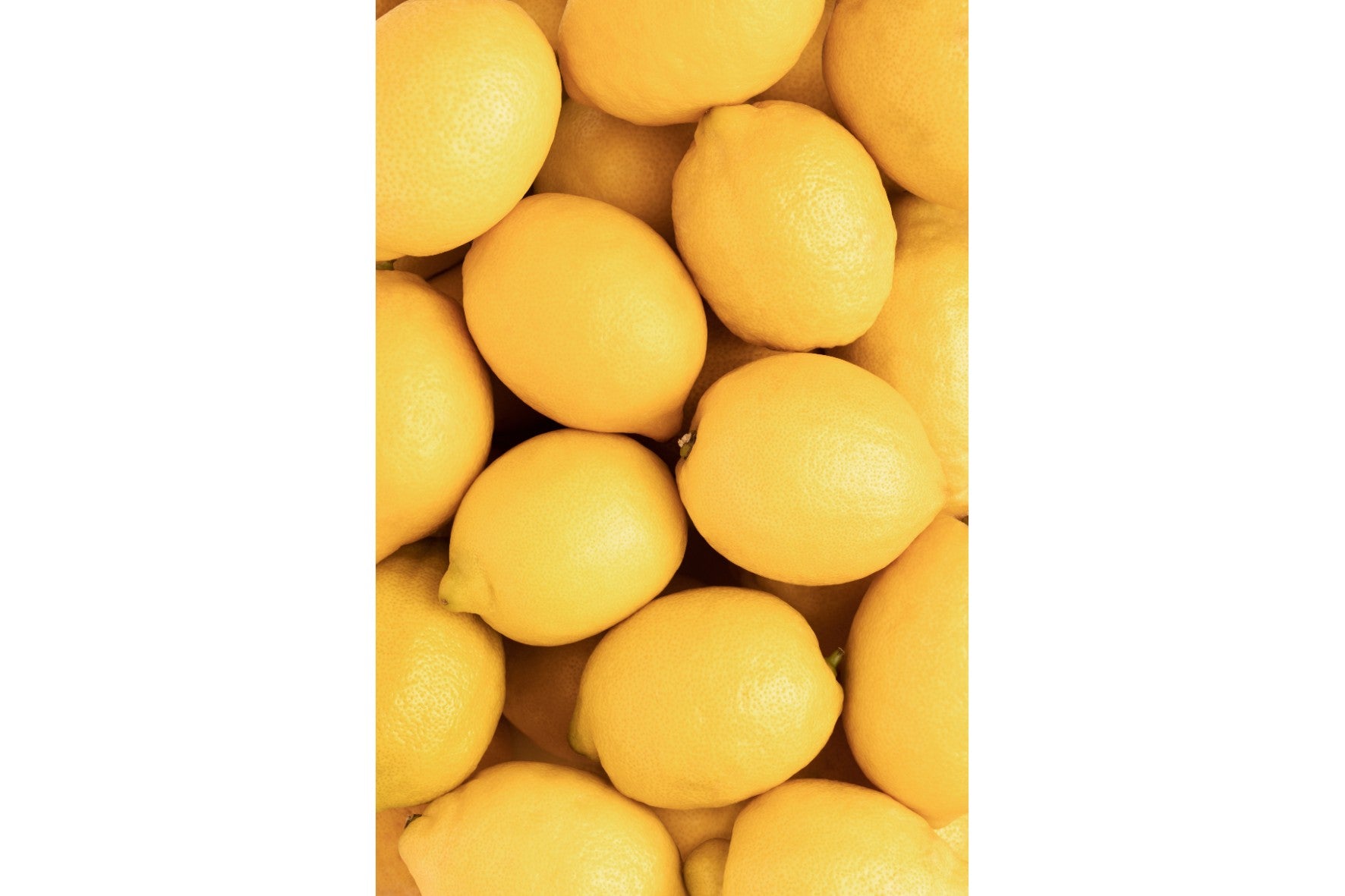 When Life Throws You Lemons