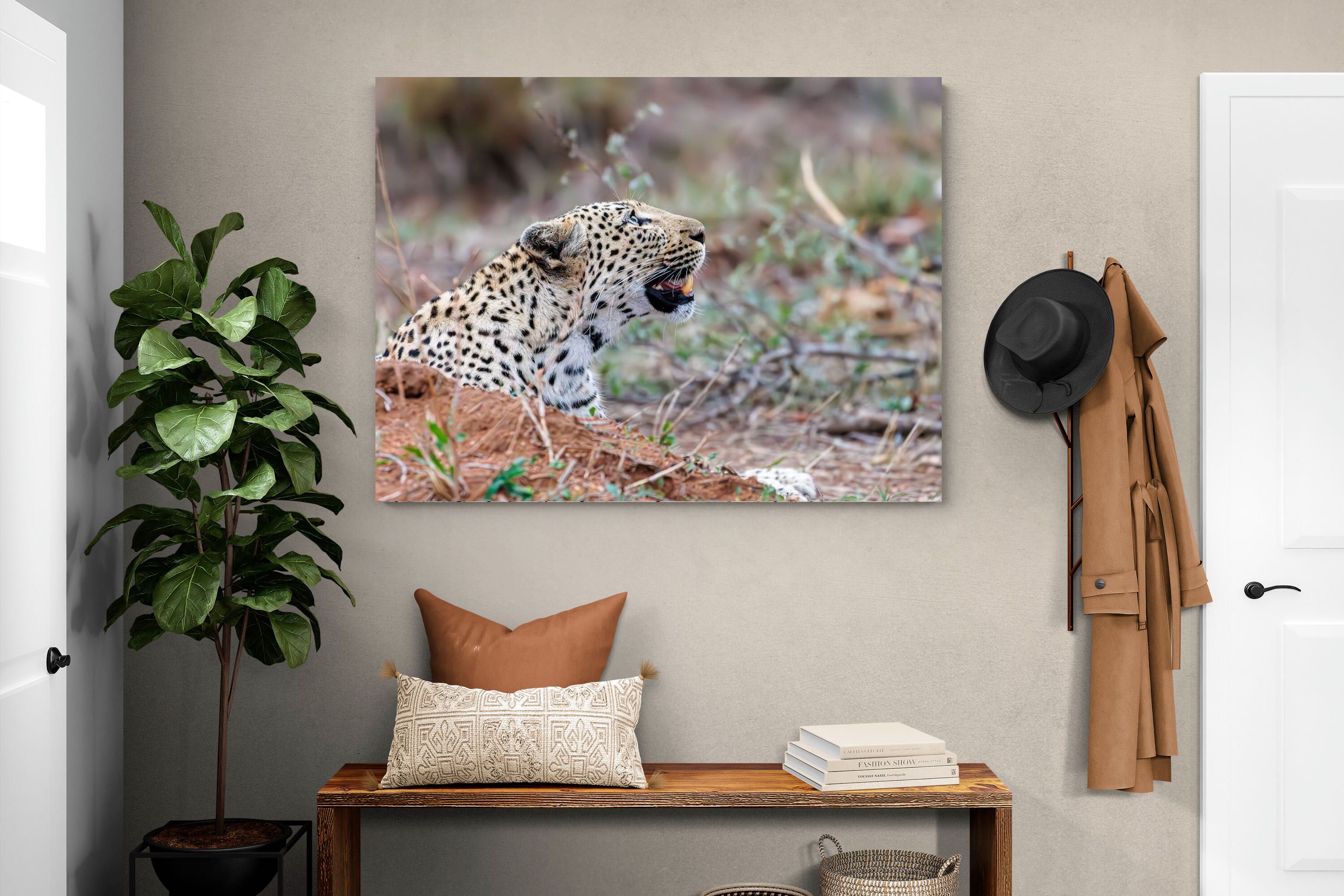 Pixalot Whispers of the Wild