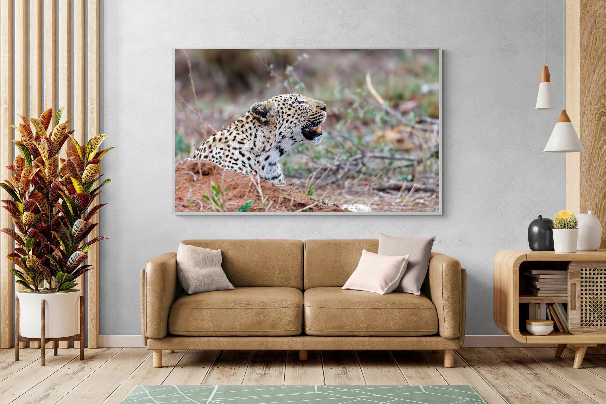 Pixalot Whispers of the Wild