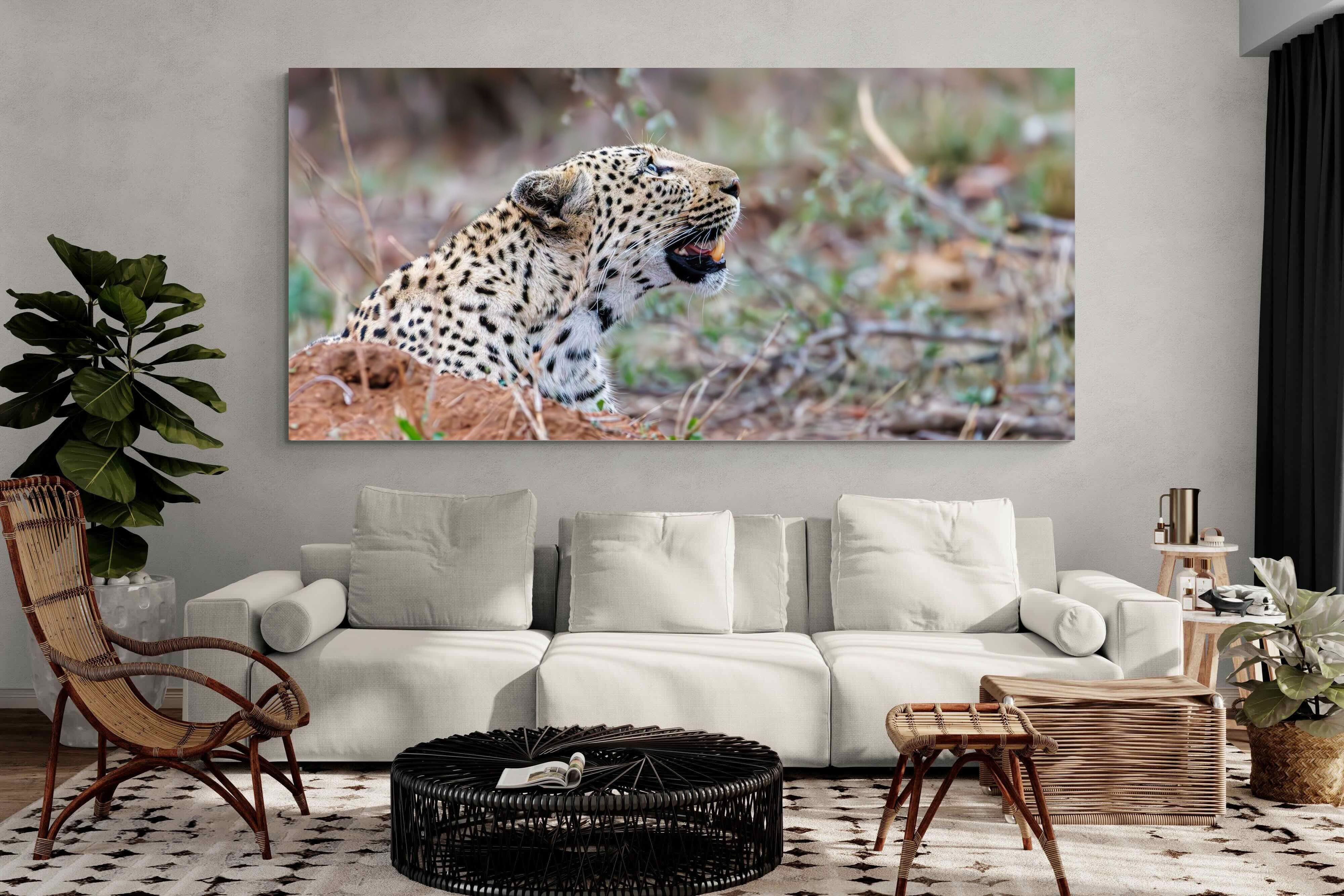 Pixalot Whispers of the Wild