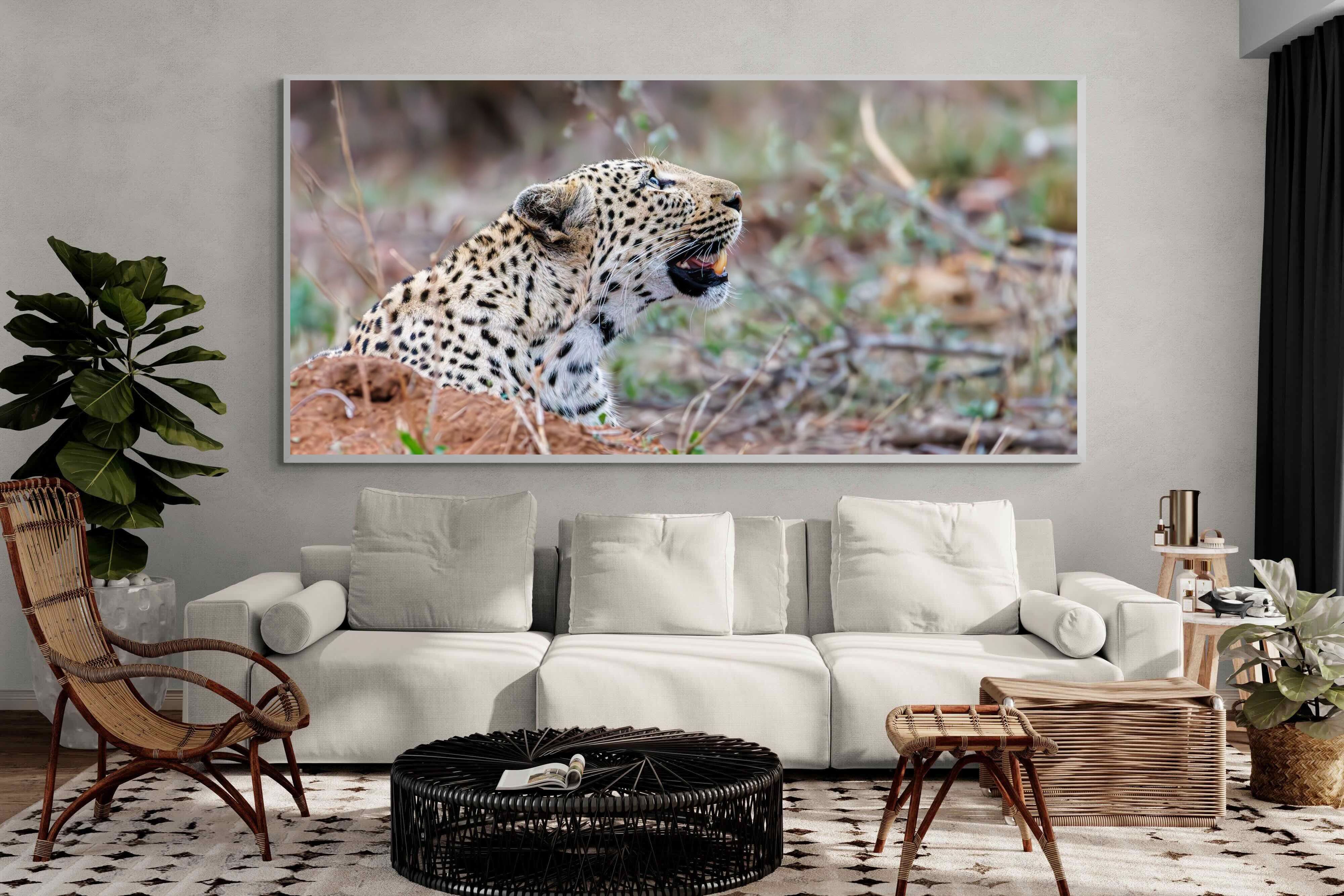 Pixalot Whispers of the Wild