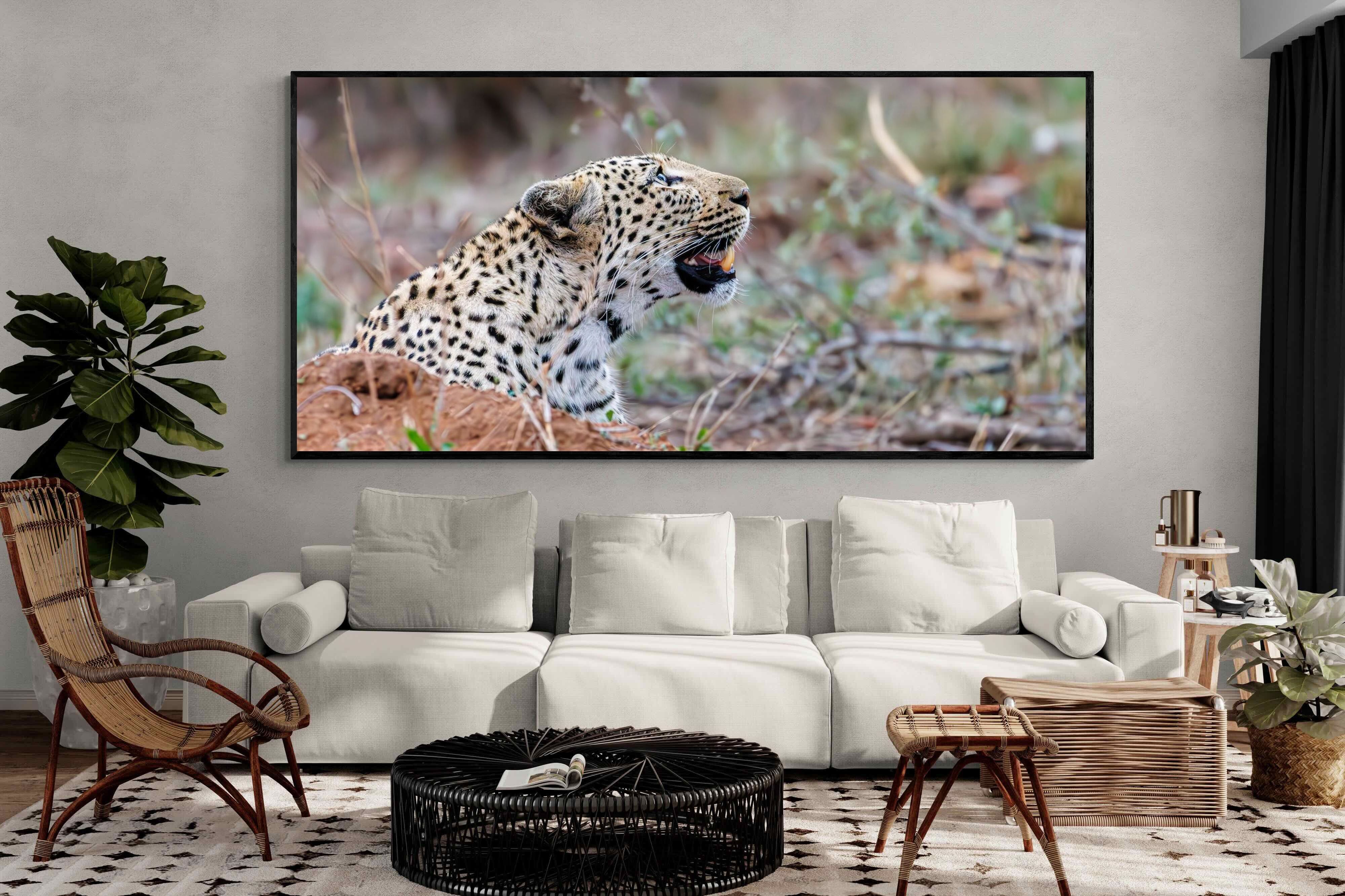 Pixalot Whispers of the Wild