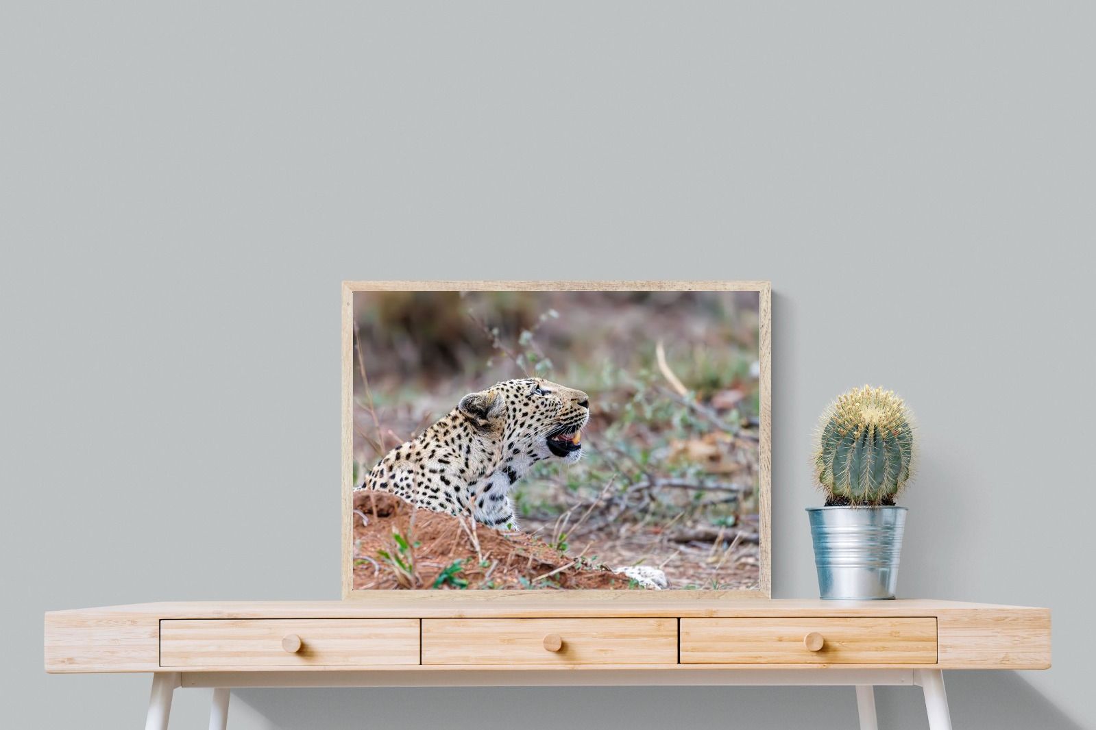 Pixalot Whispers of the Wild