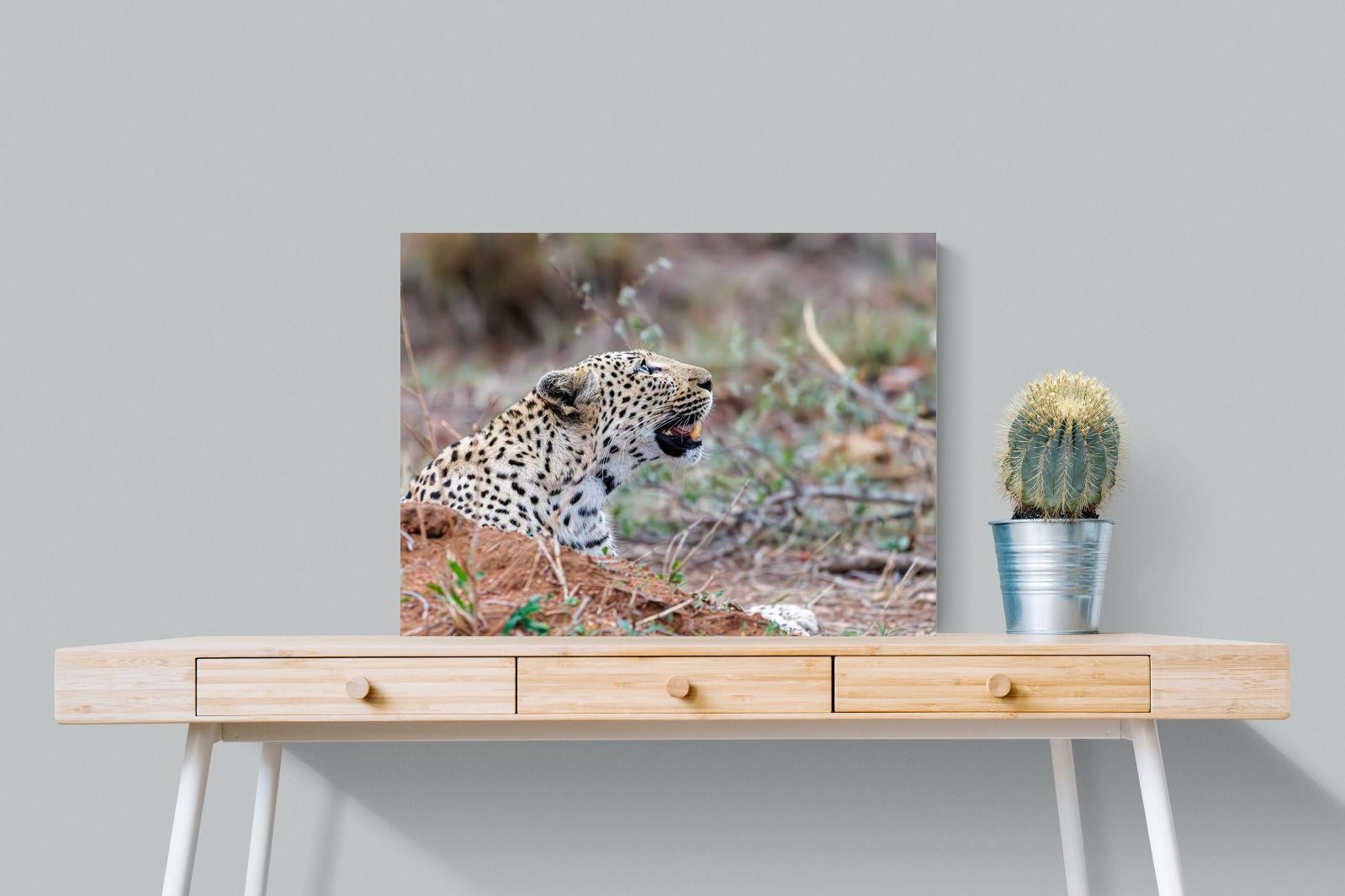 Pixalot Whispers of the Wild