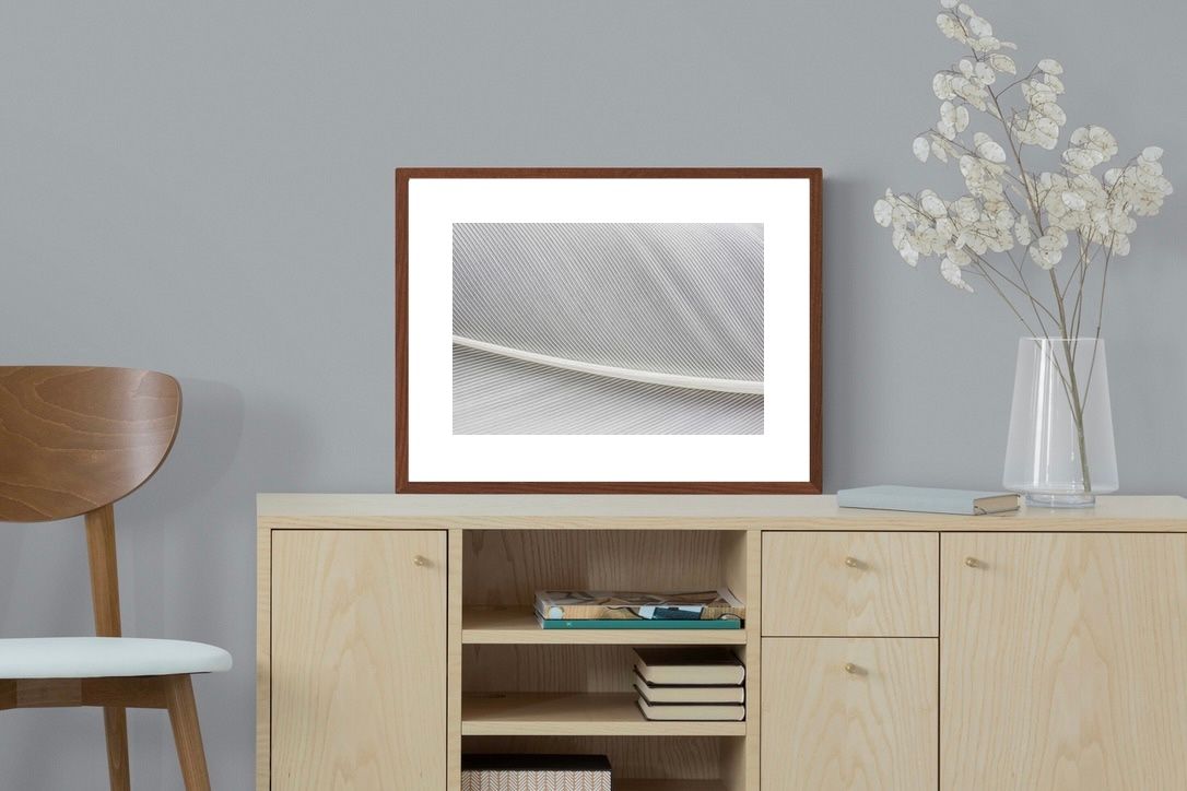 Pixalot ® White Feather