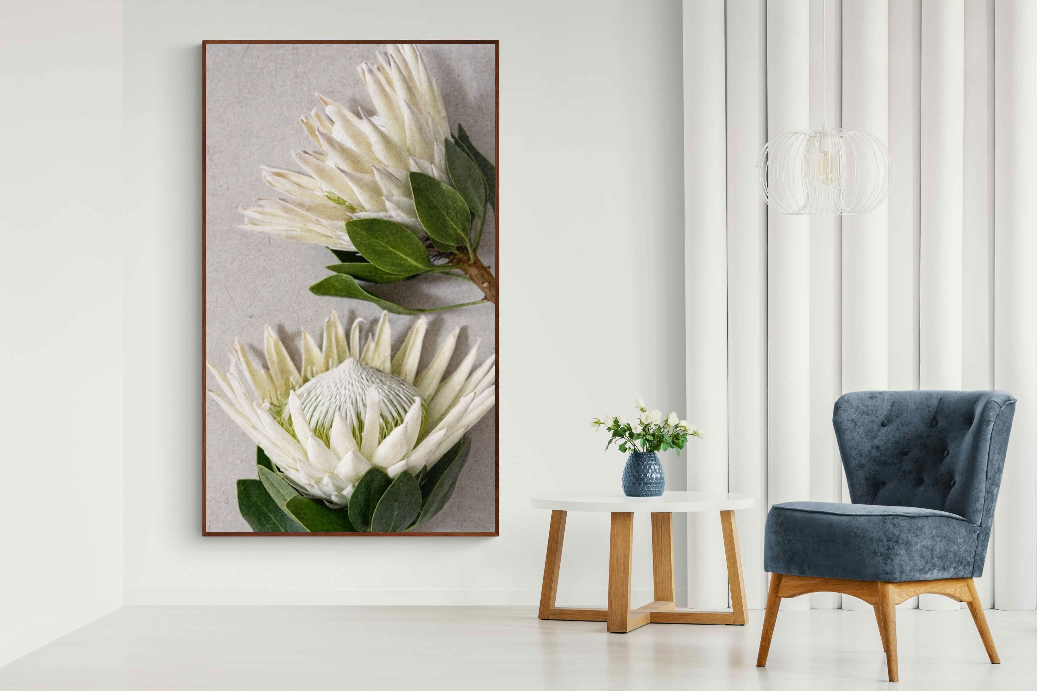 Pixalot White King Protea Duo