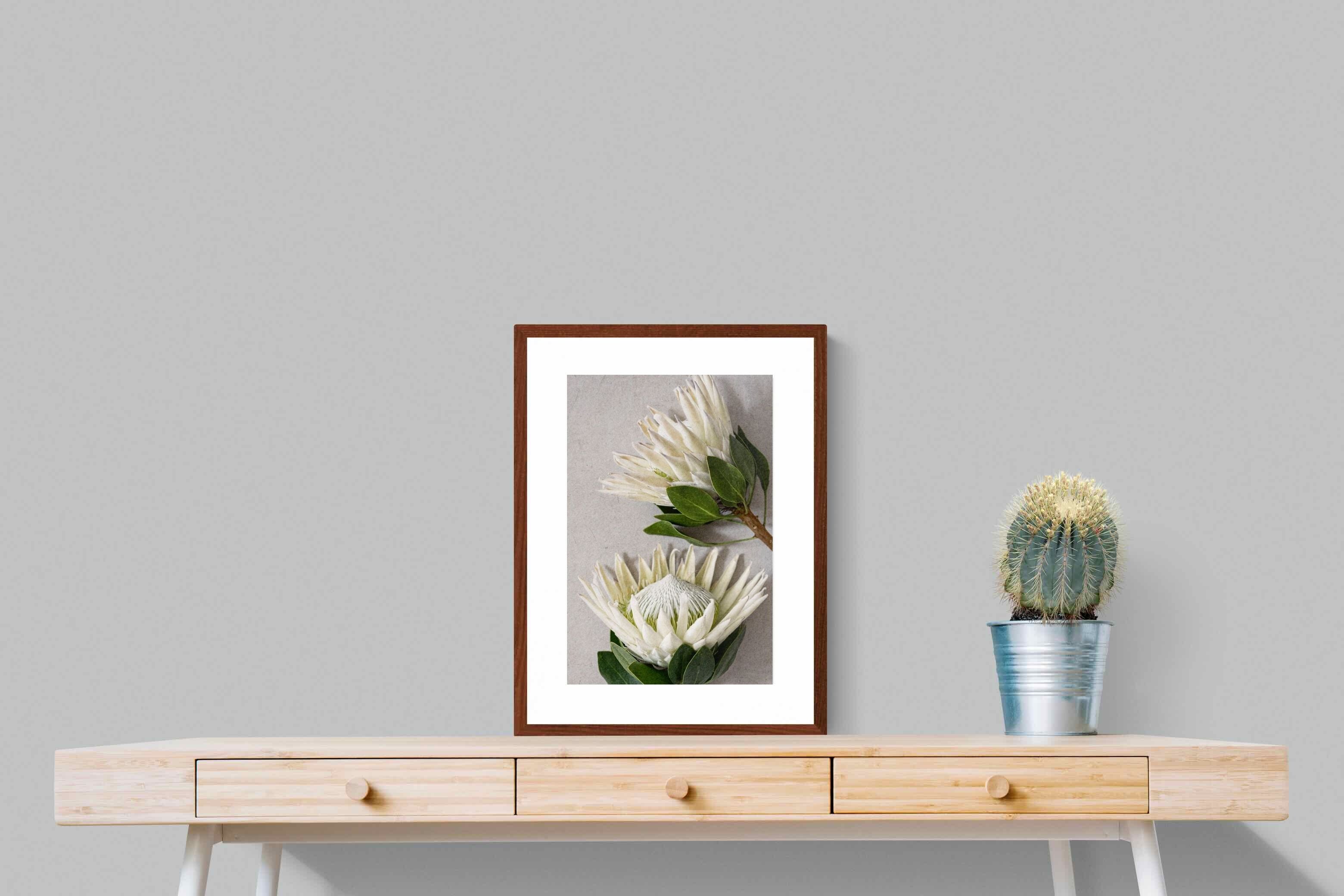 Pixalot White King Protea Duo