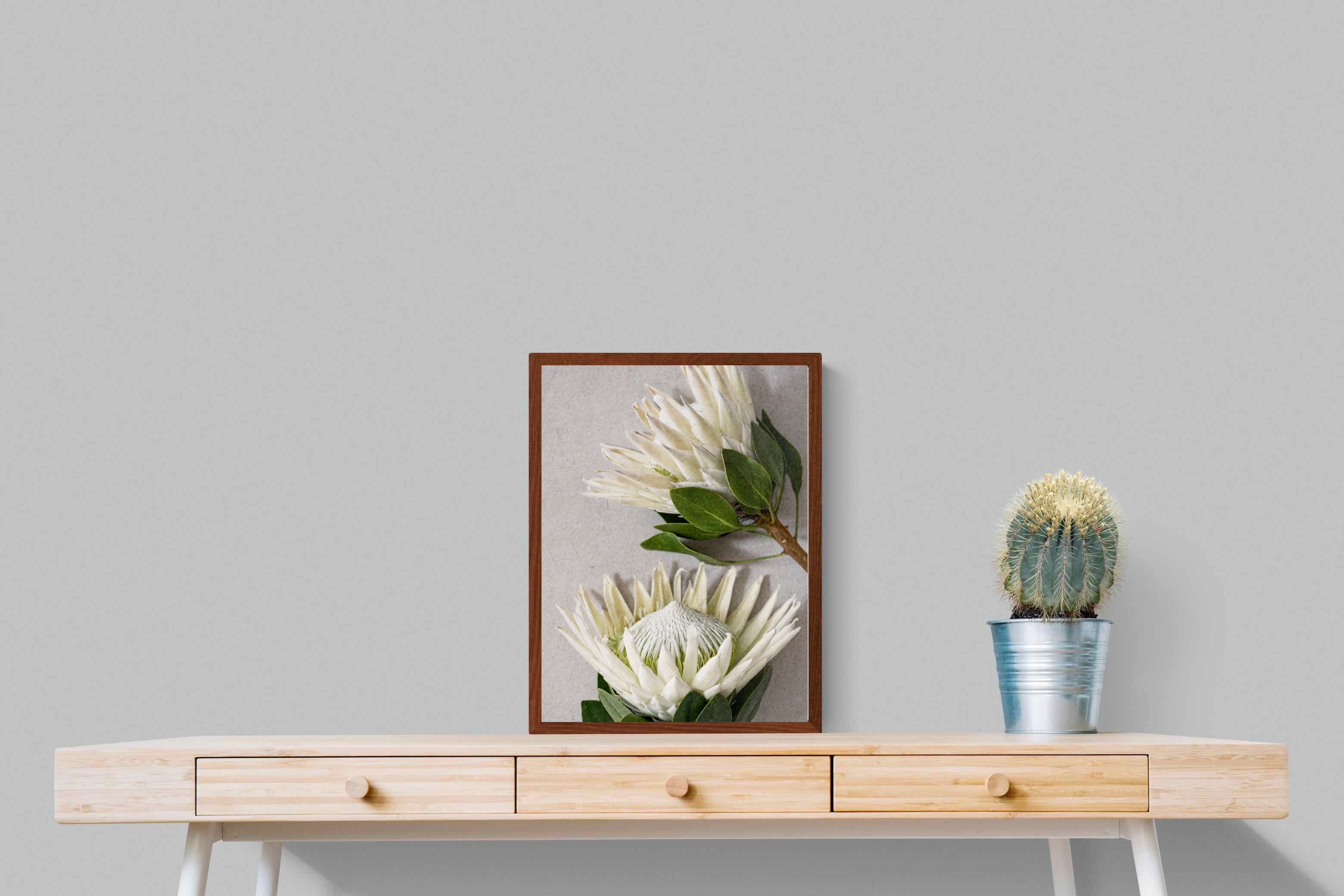 Pixalot White King Protea Duo