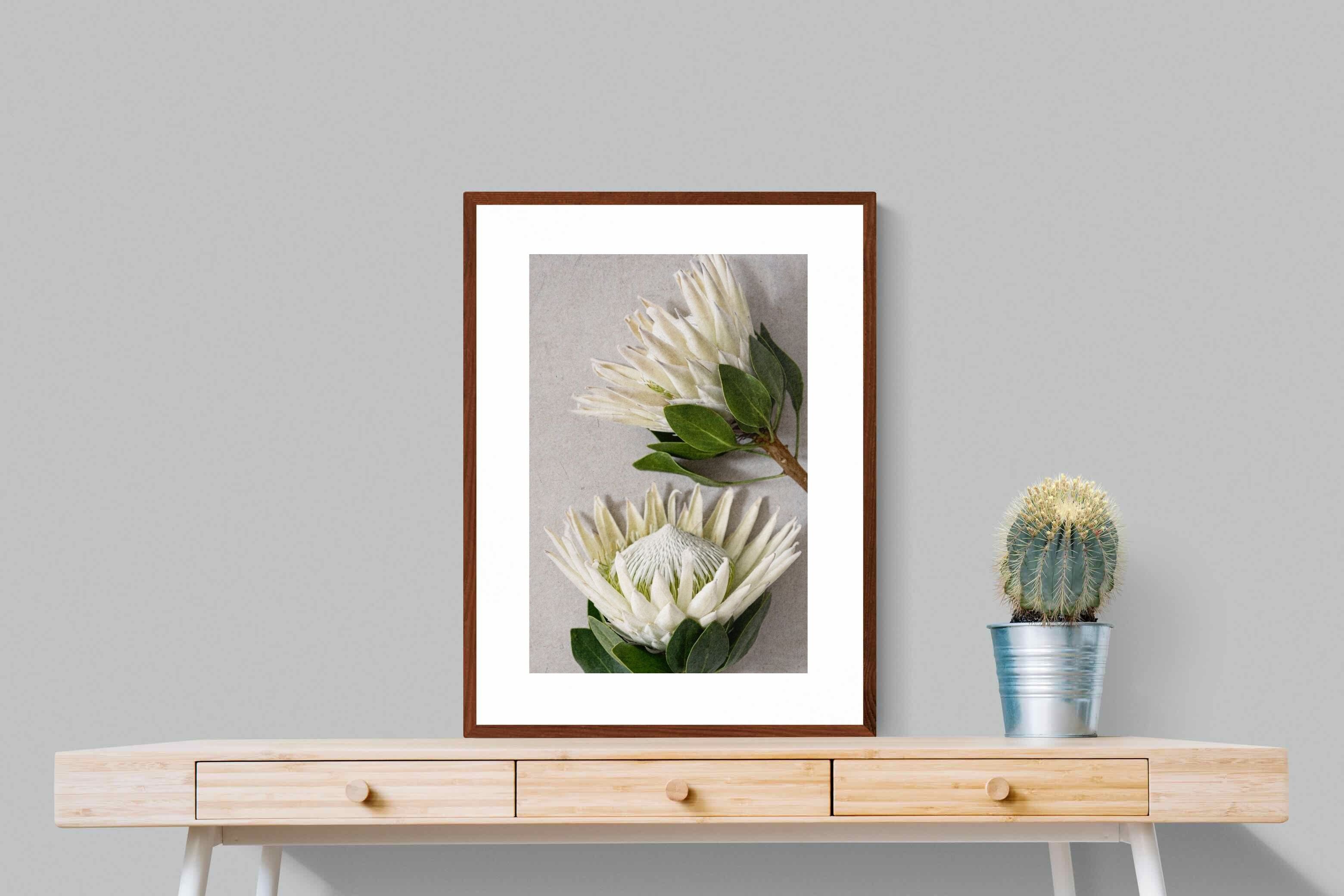 Pixalot White King Protea Duo