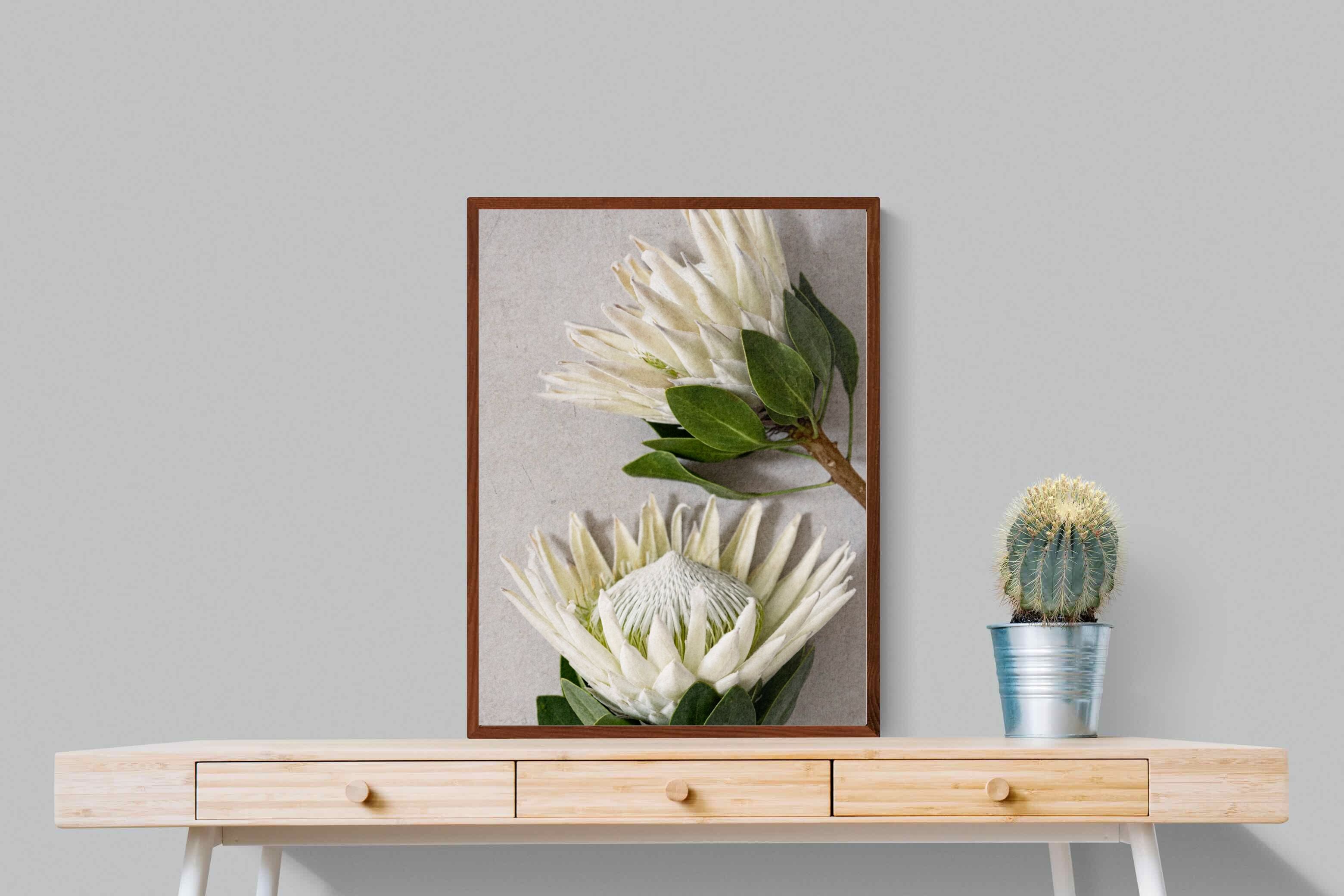 Pixalot White King Protea Duo