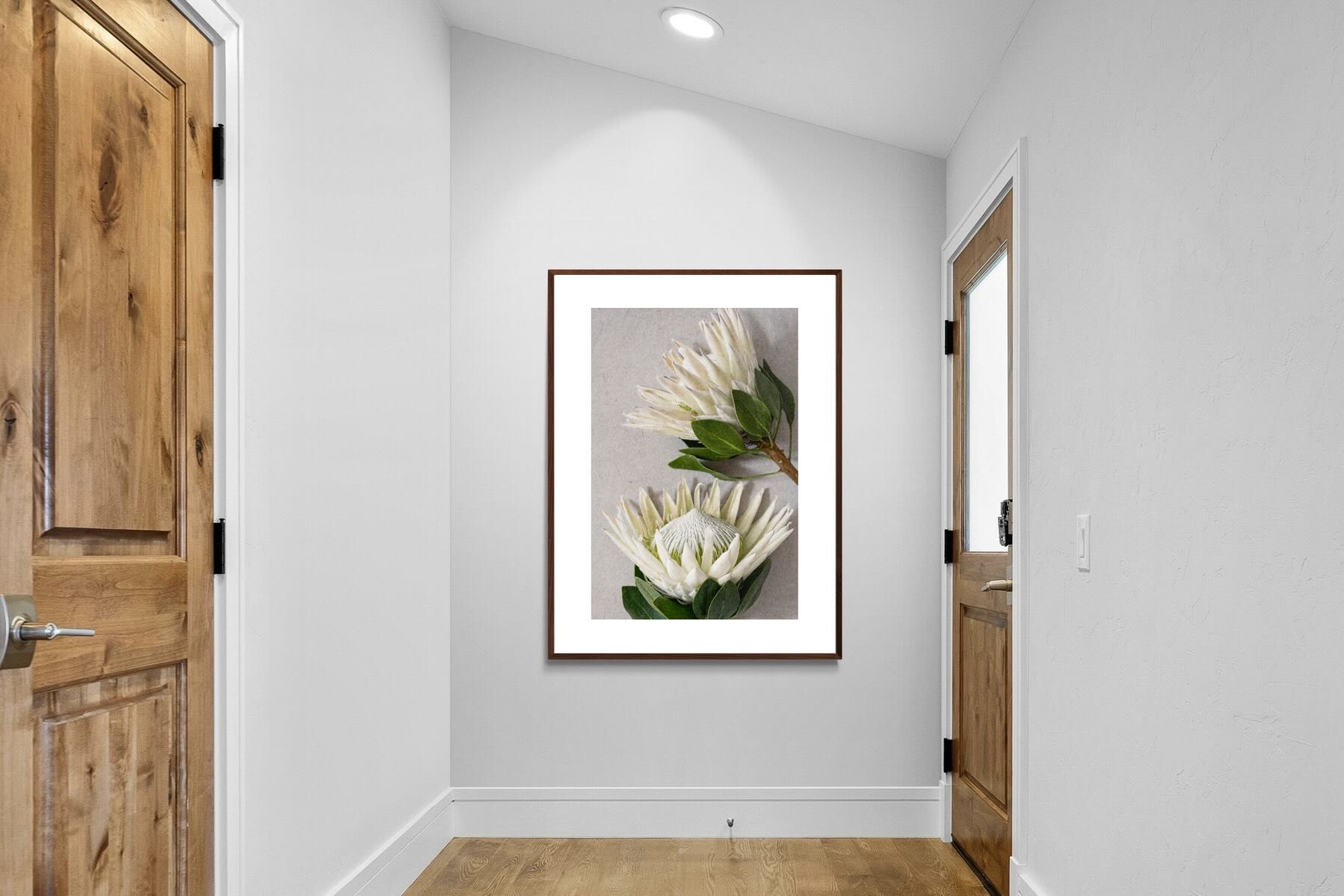 Pixalot White King Protea Duo