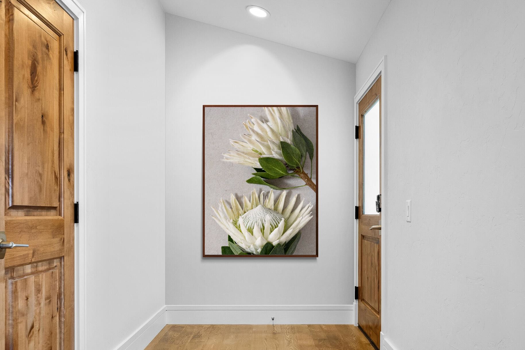 Pixalot White King Protea Duo