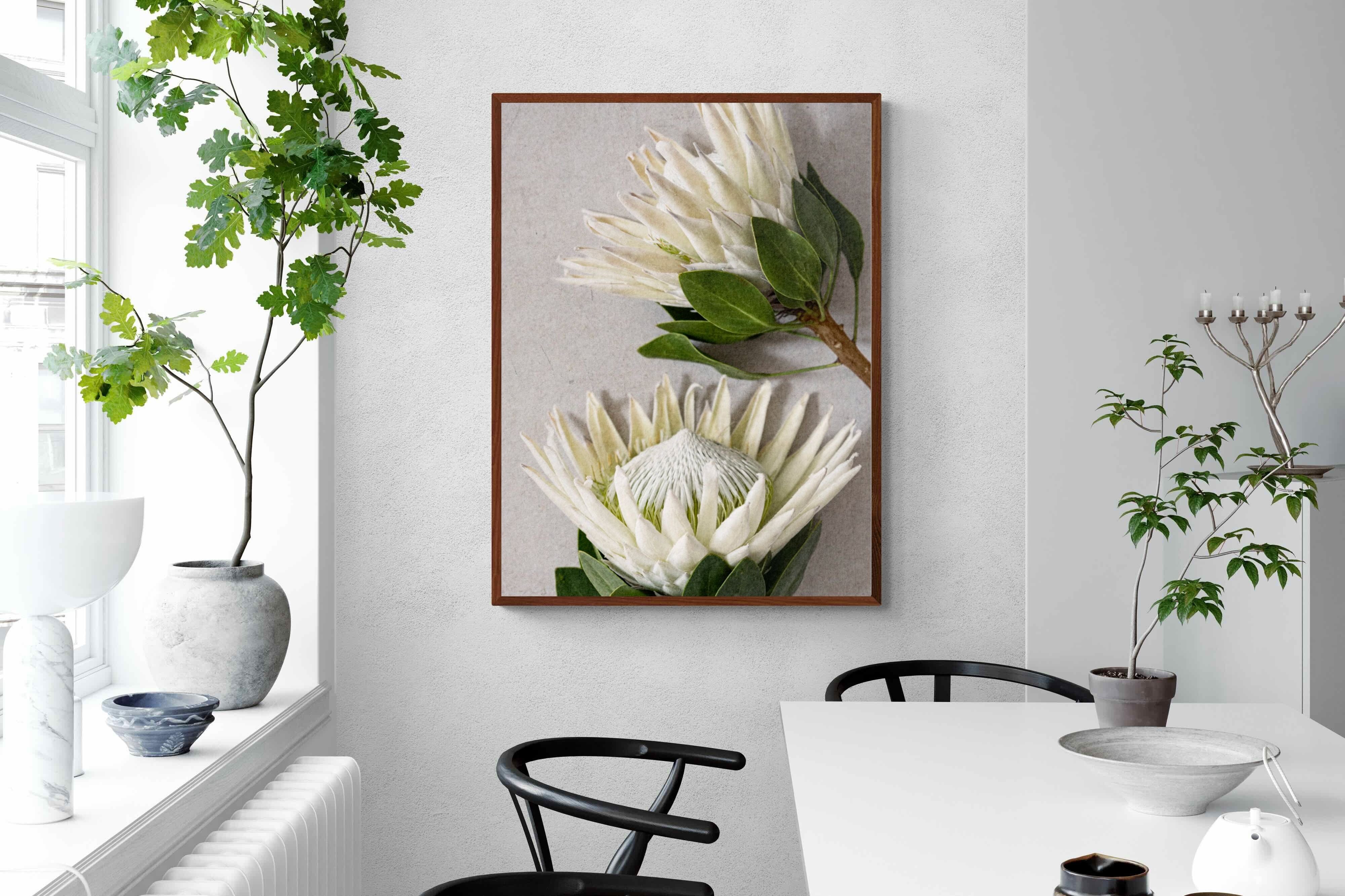 Pixalot White King Protea Pair