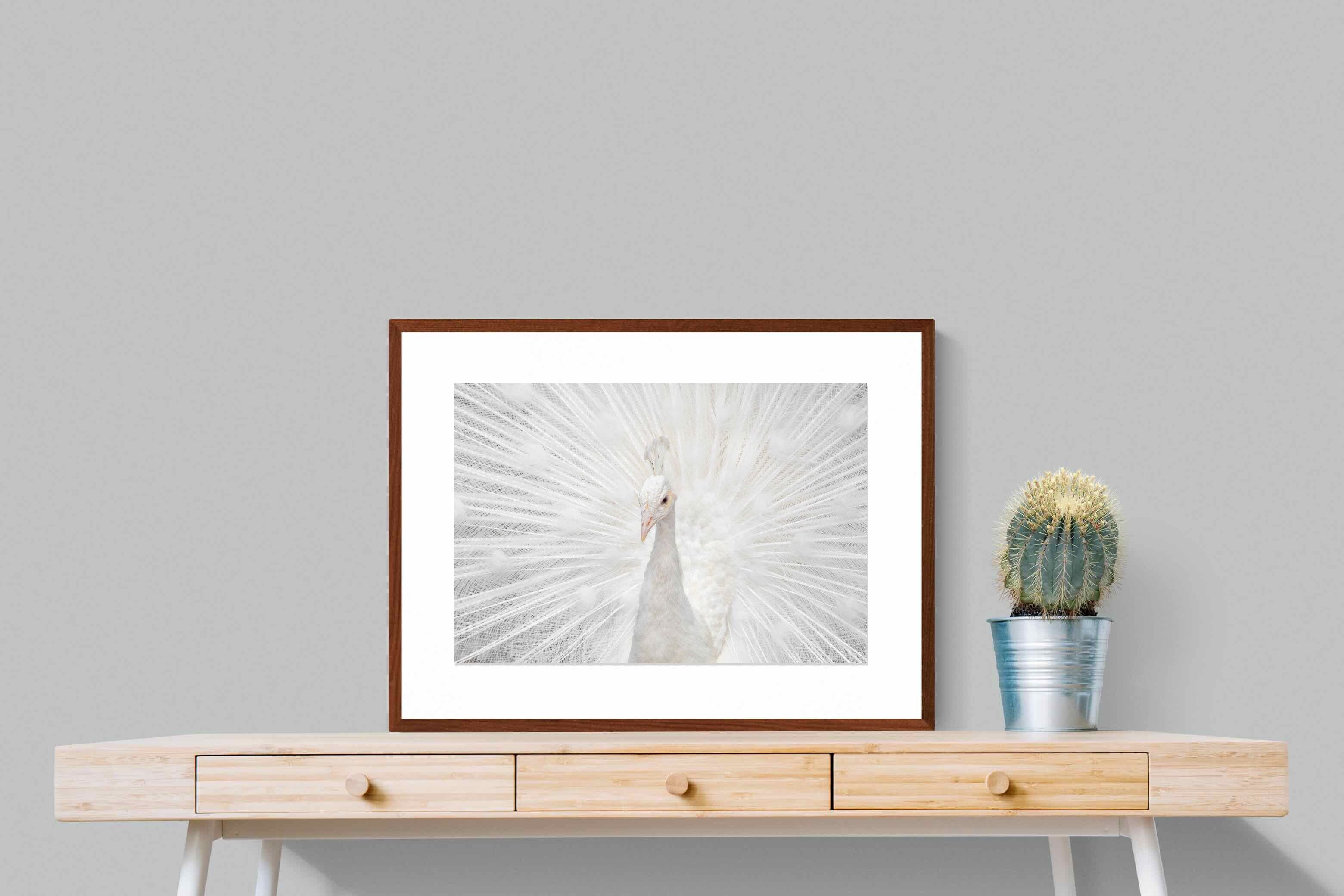 Pixalot ® White Peacock