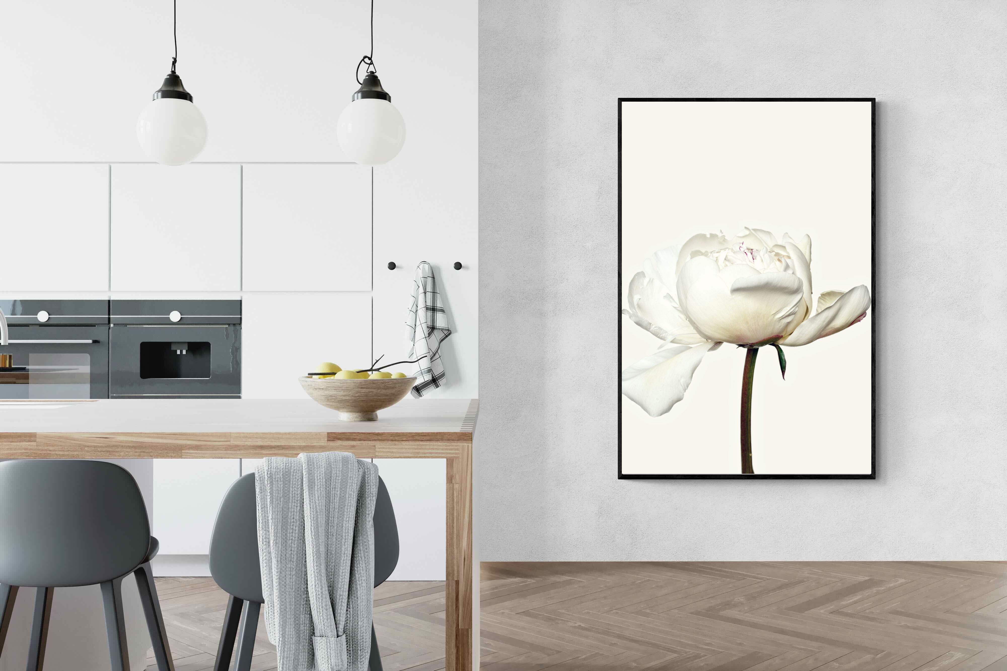 Pixalot White Peony