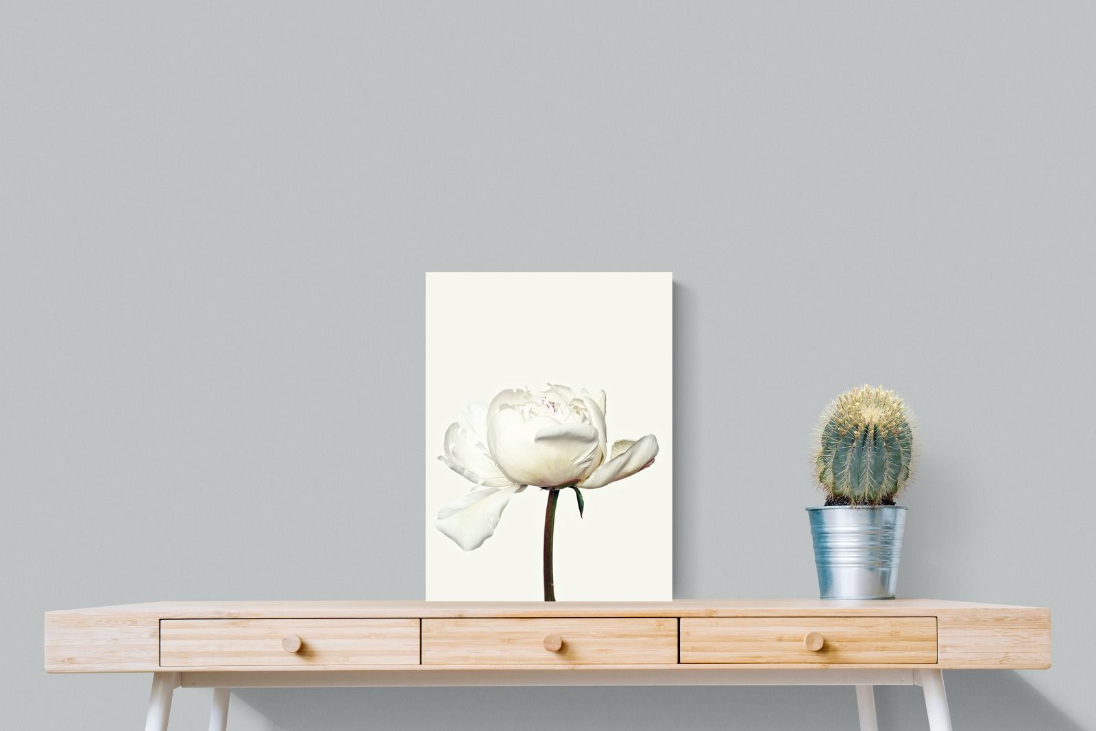 Pixalot White Peony