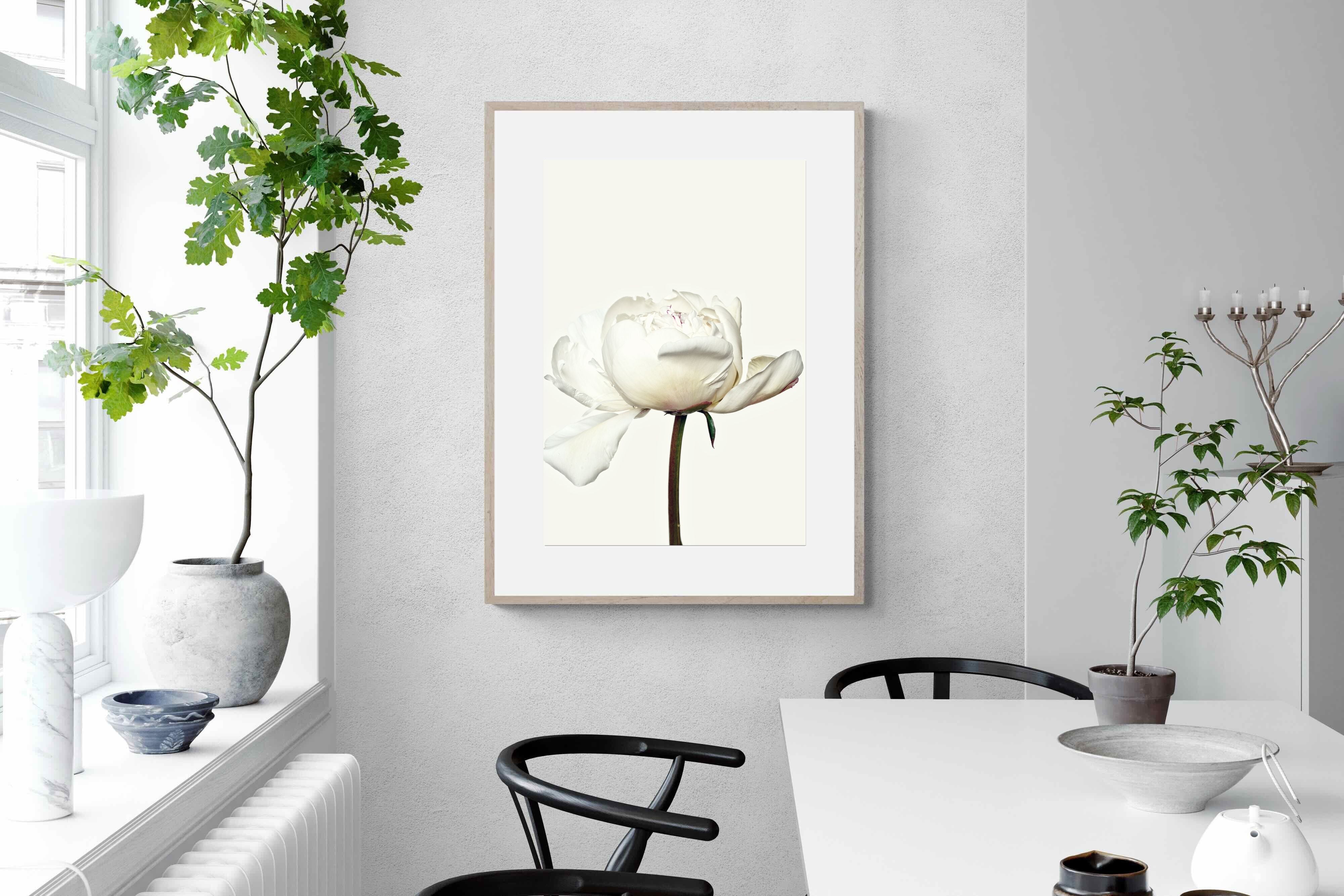 Pixalot White Peony