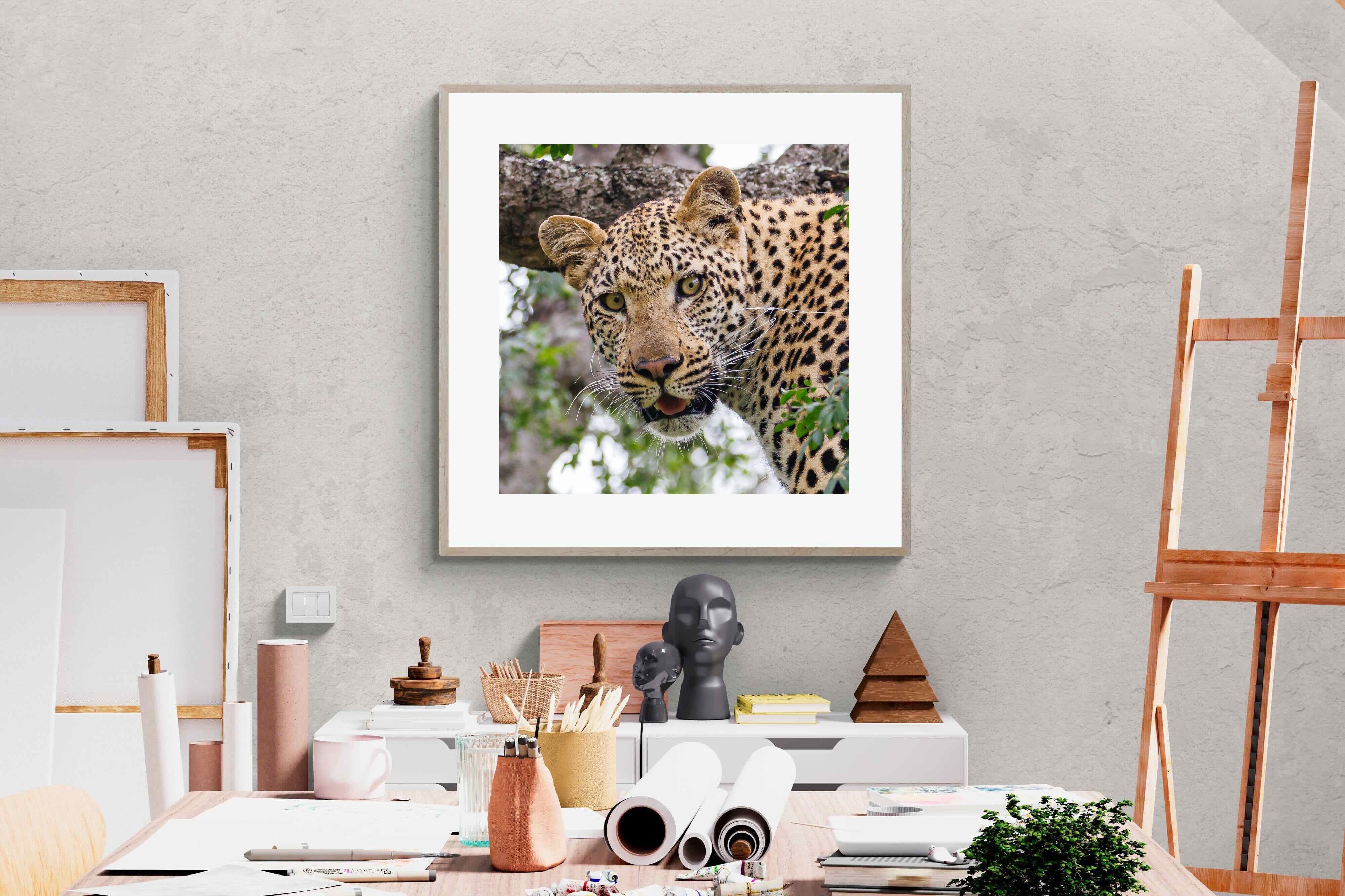 Pixalot ® Wild Gaze