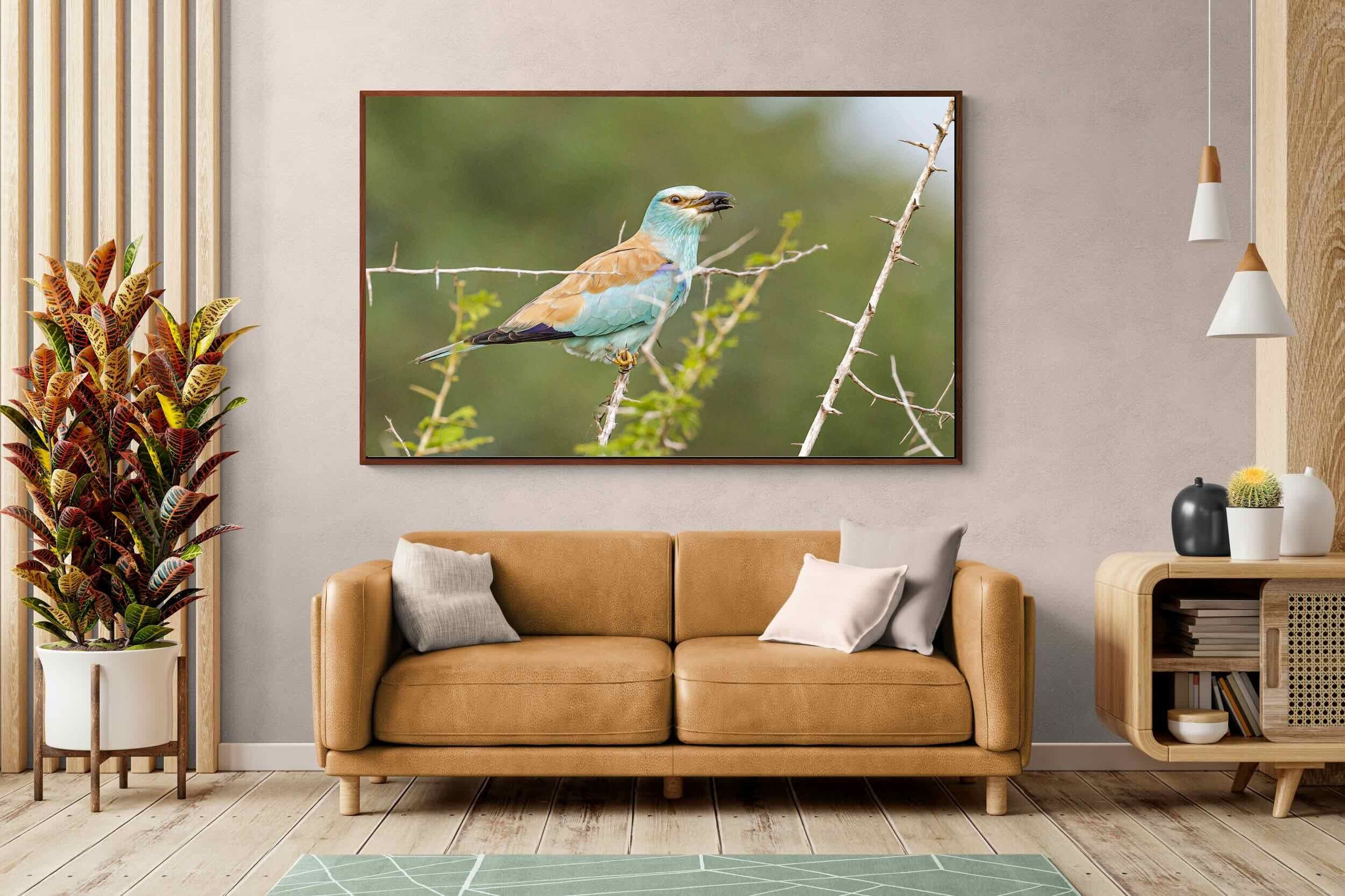 Pixalot ® Winged Wonder