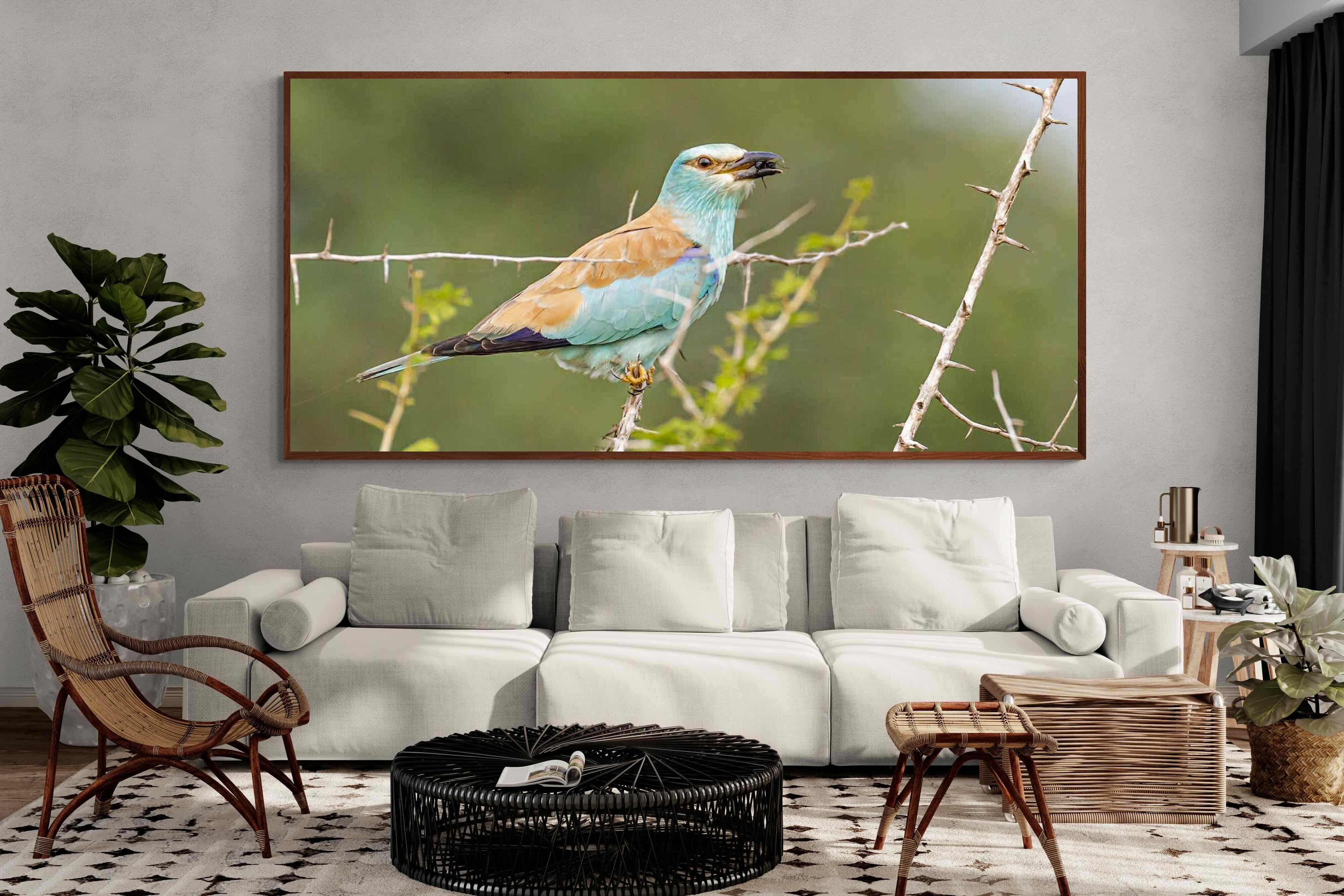 Pixalot ® Winged Wonder
