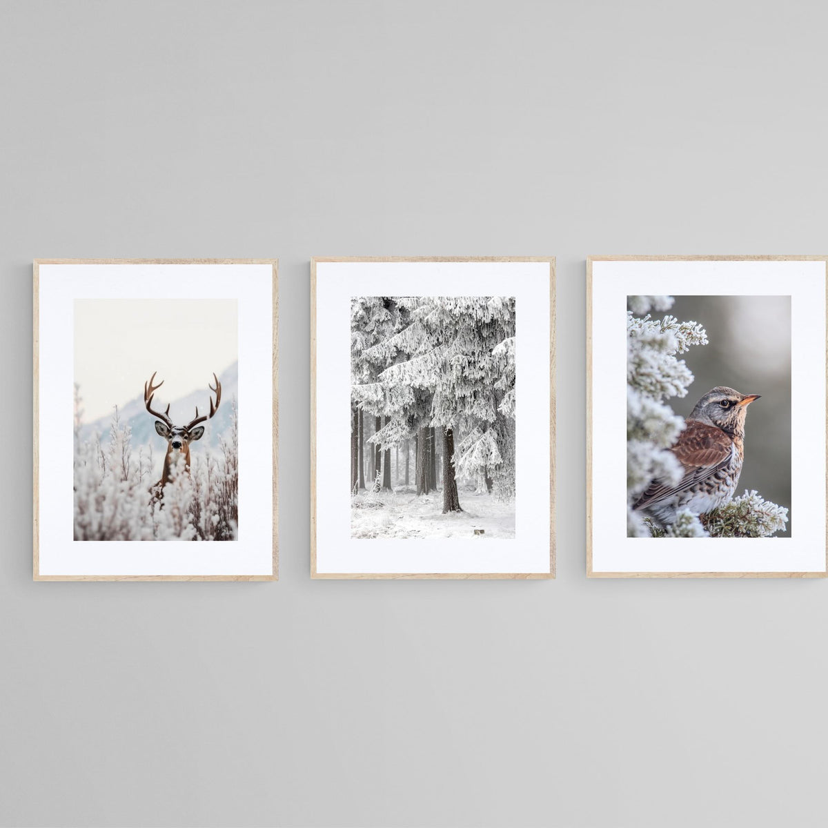 Winter Wonderland Set Wall Art | Canvas & Framed Prints – Pixalot