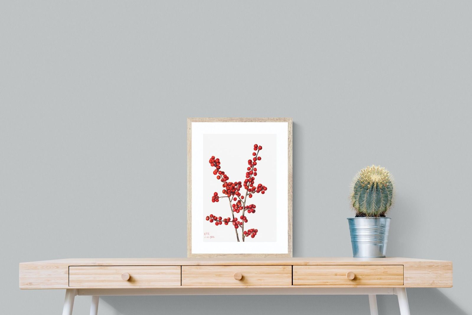 Pixalot Winterberry