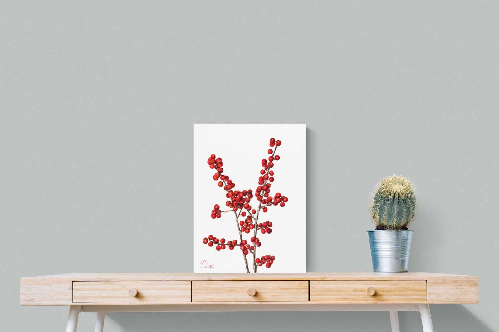 Pixalot Winterberry